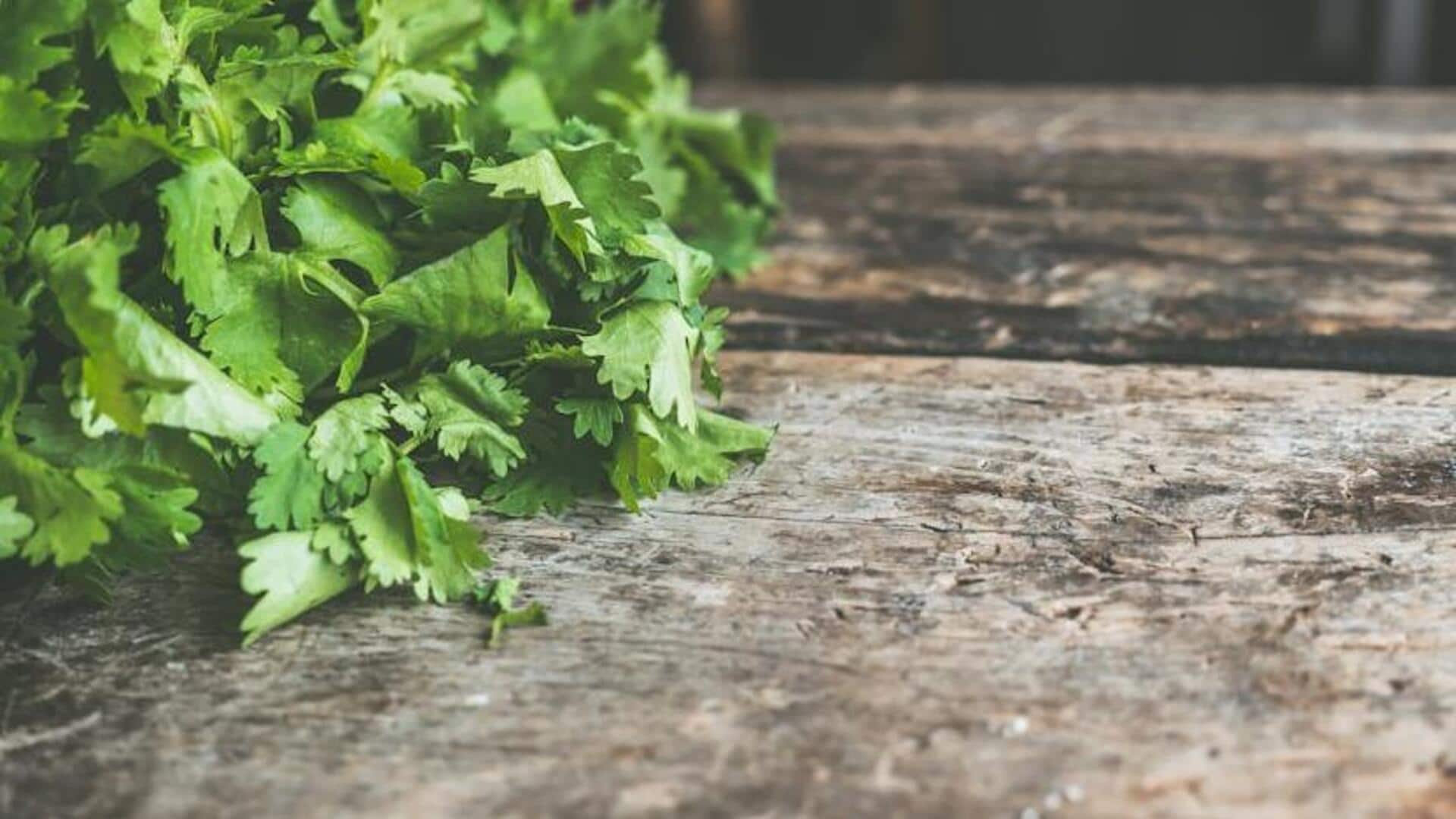 How coriander can help reduce anxiety symptoms