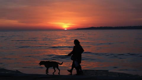 Evening walks: An easy way to stay fit