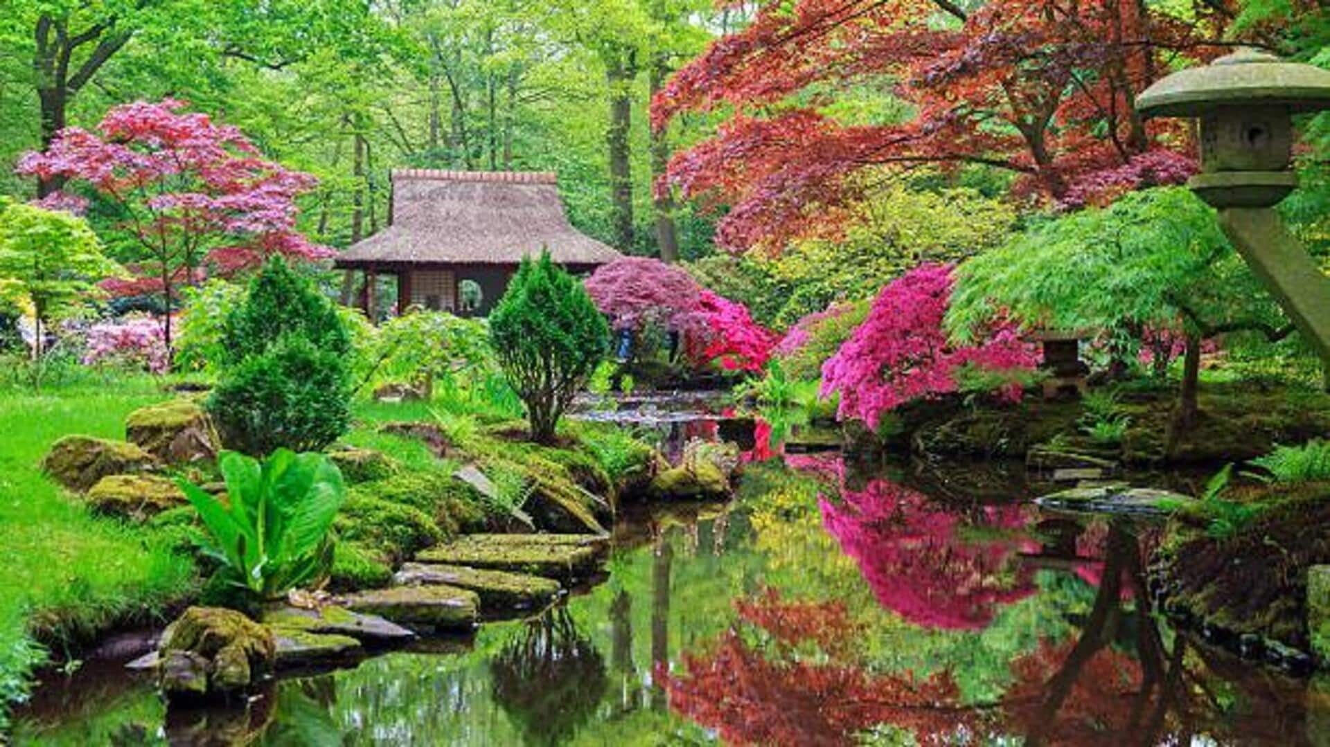You must visit these beautiful gardens in Japan You must visit these beautiful gardens in Japan