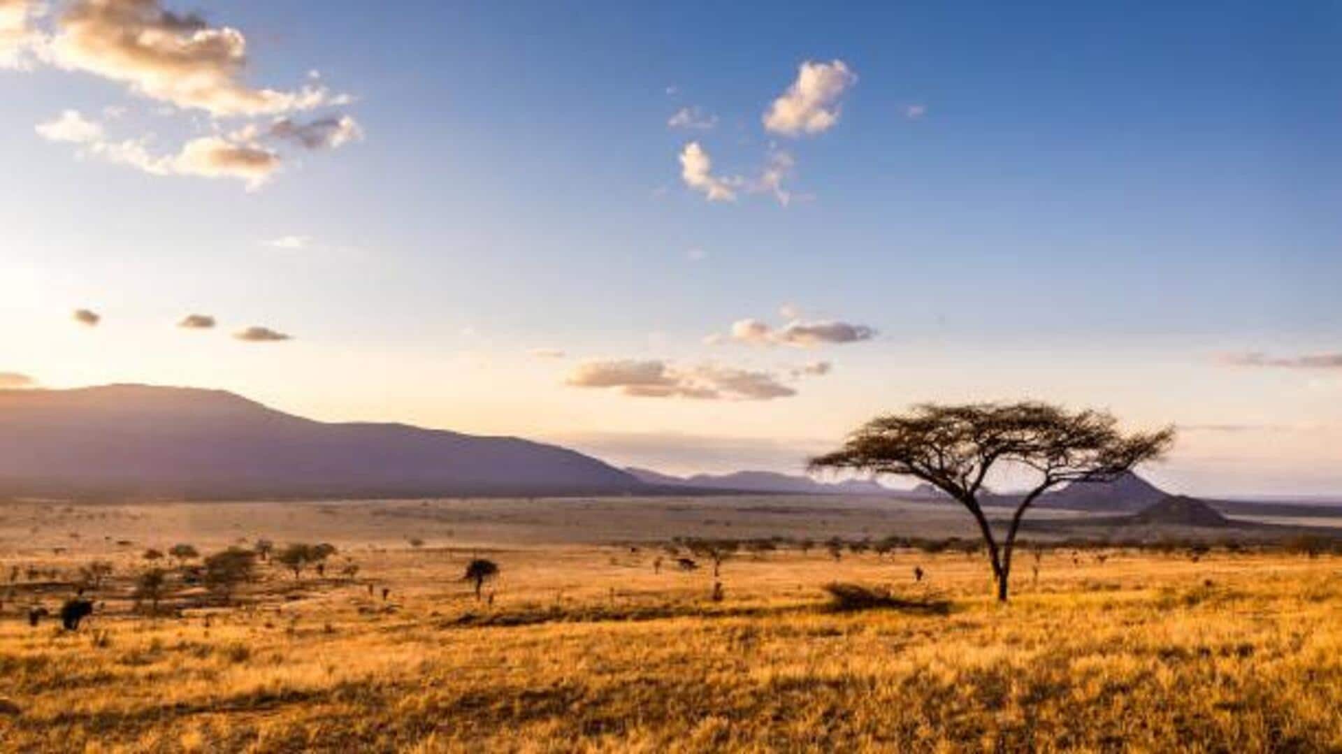 How to explore rare wildflowers in savannahs