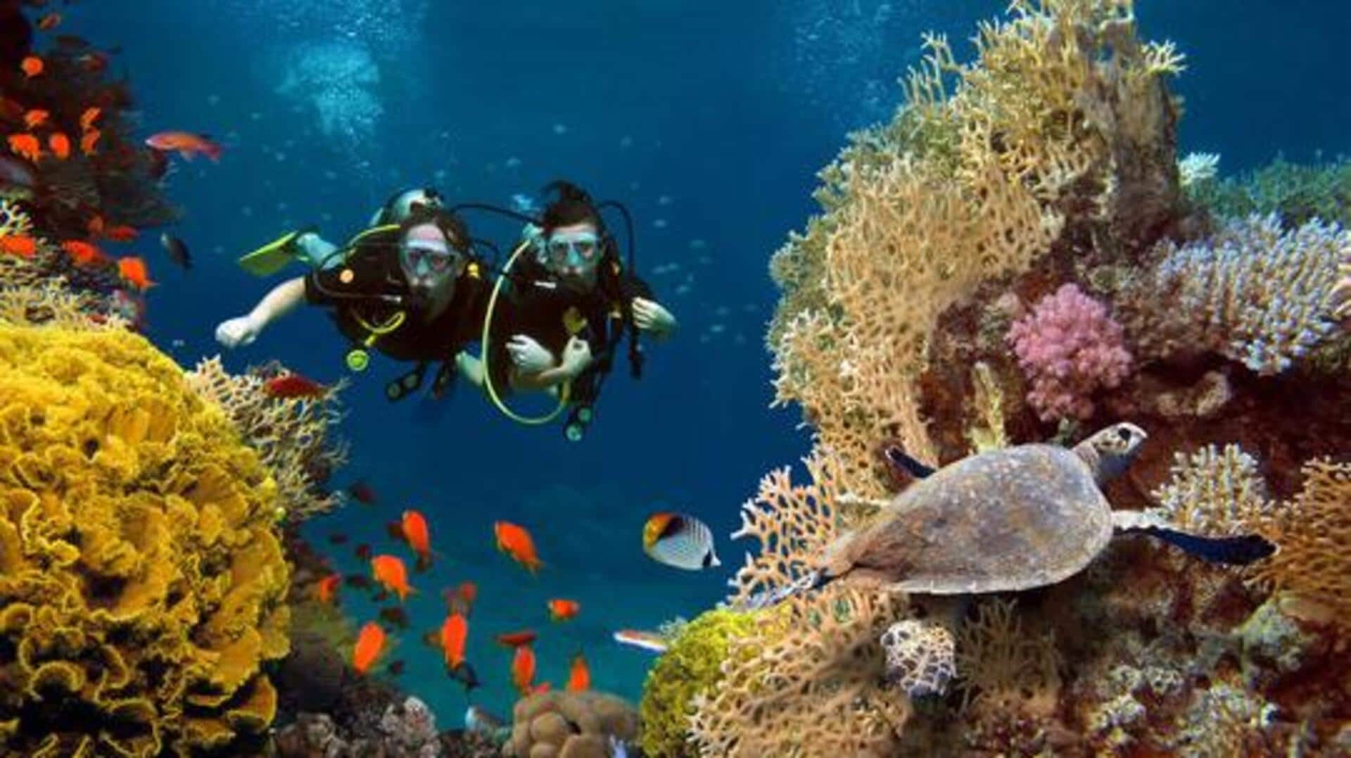 Egypt's Red Sea coast: An underwater paradise for divers 