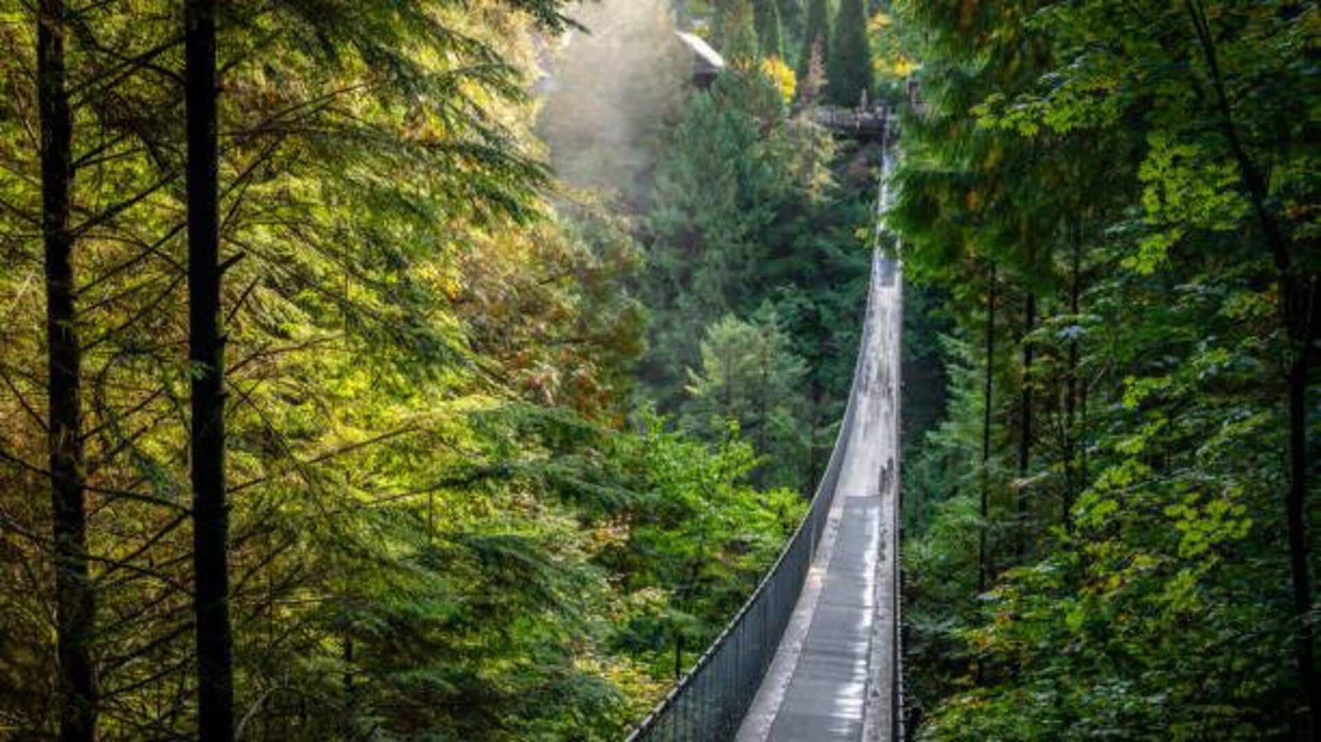 Explore Costa Rica's rainforest on suspended bridges Explore Costa Rica's rainforest on suspended bridges