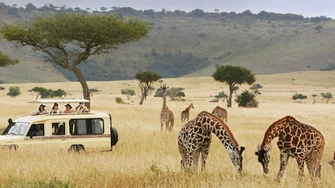 Planning to tour Kenya? Read on