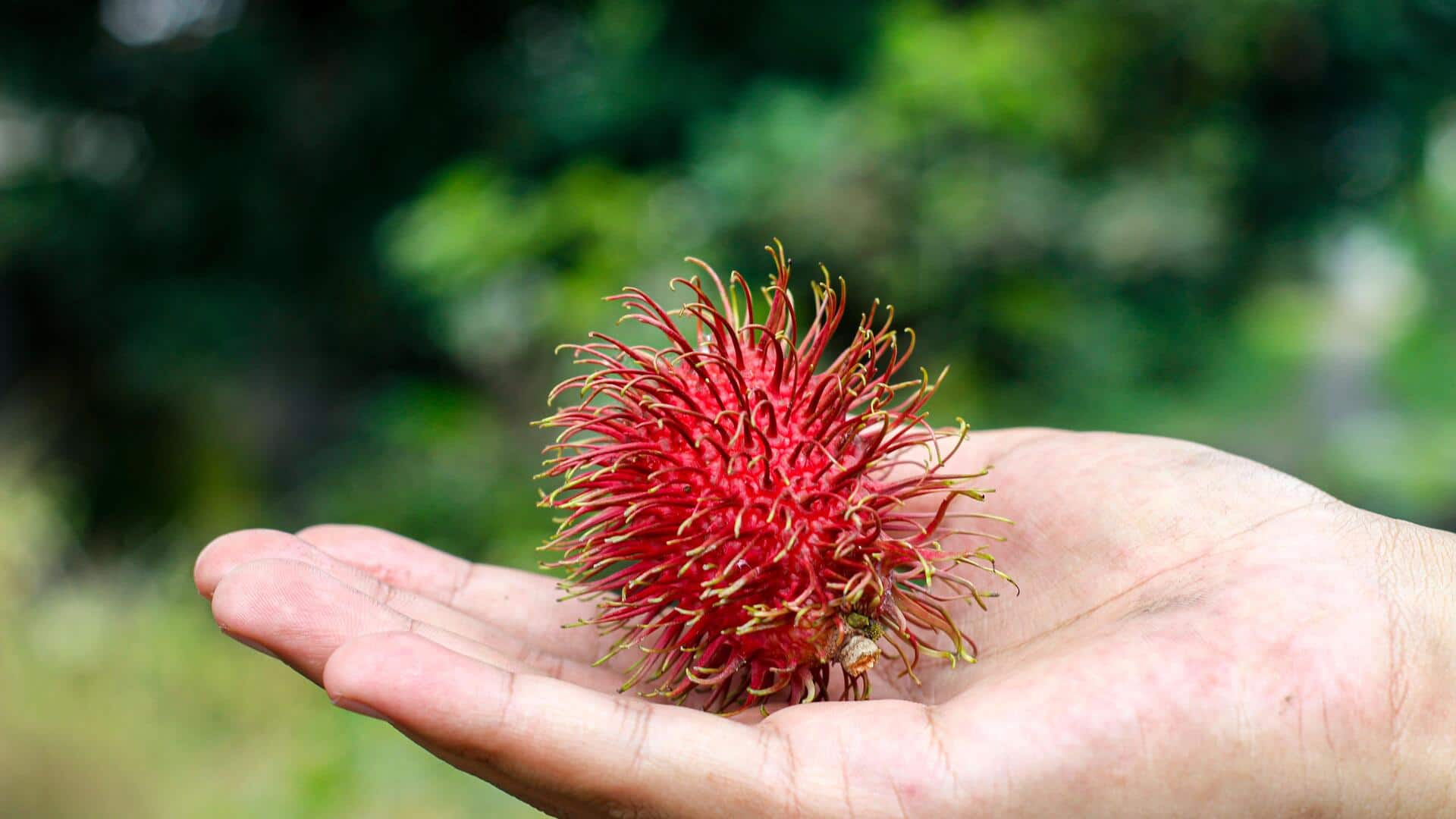 Prickly pear v/s rambutan: Comparing their nutrition