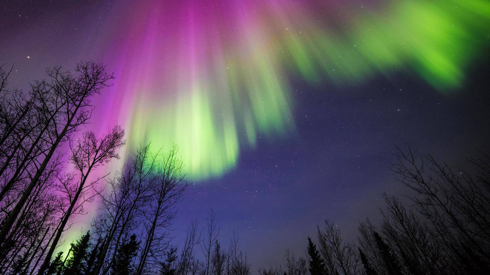 NASA's ACES 2 mission will reveal global circuitry behind auroras