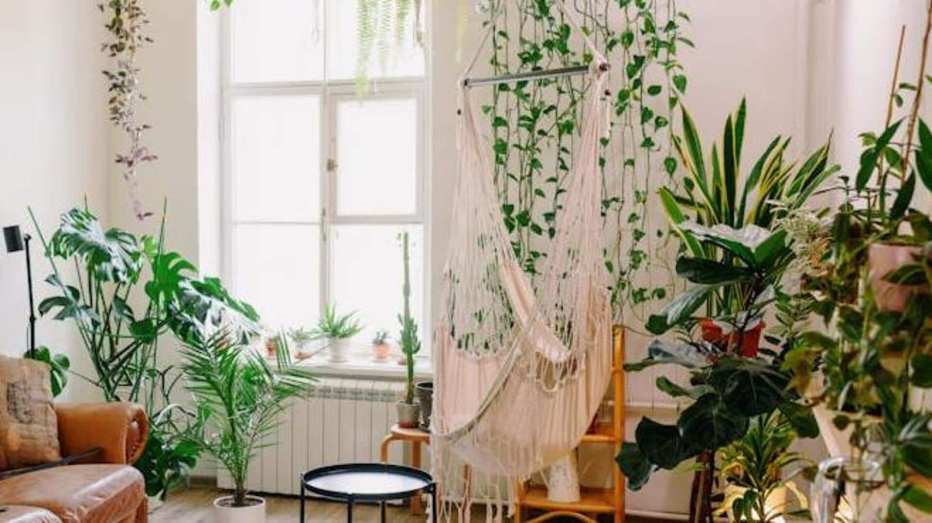 Transform your home with macrame for chic look