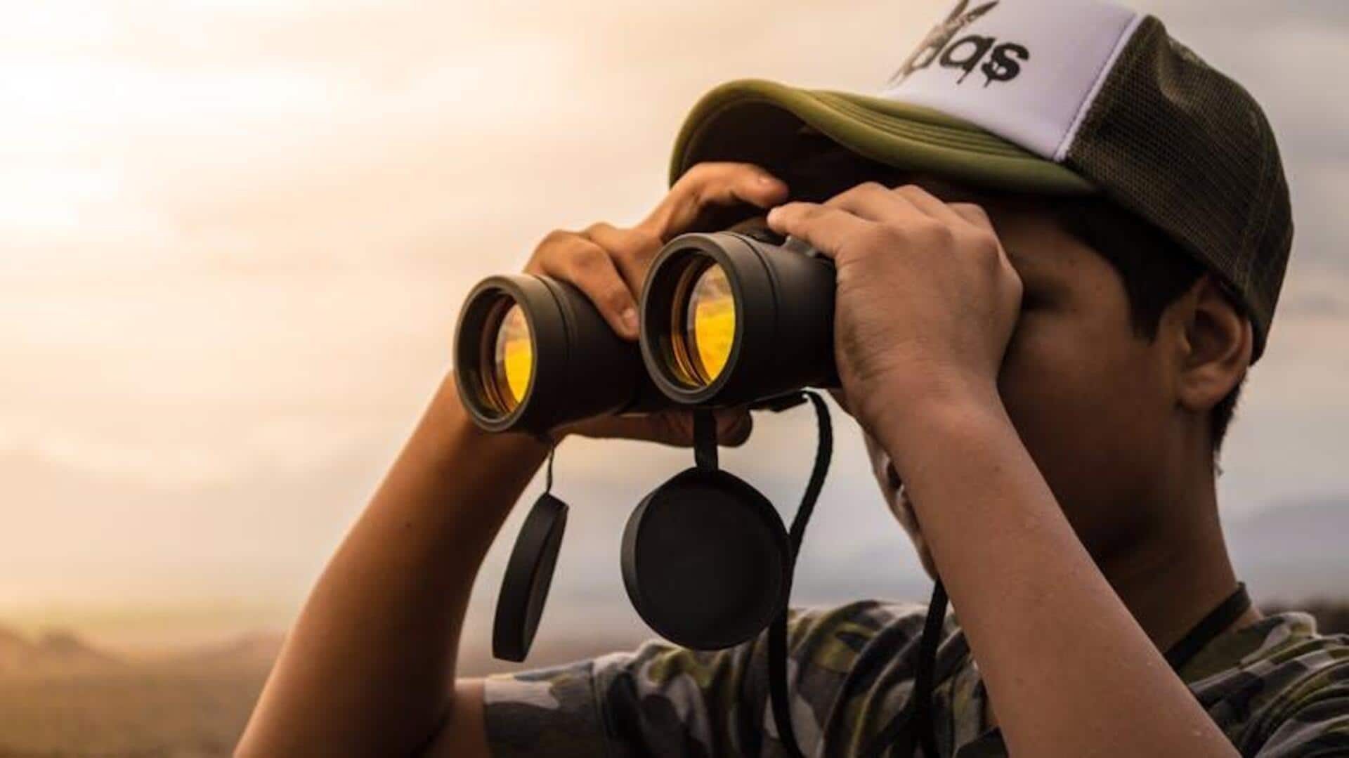 How birdwatching makes you more productive