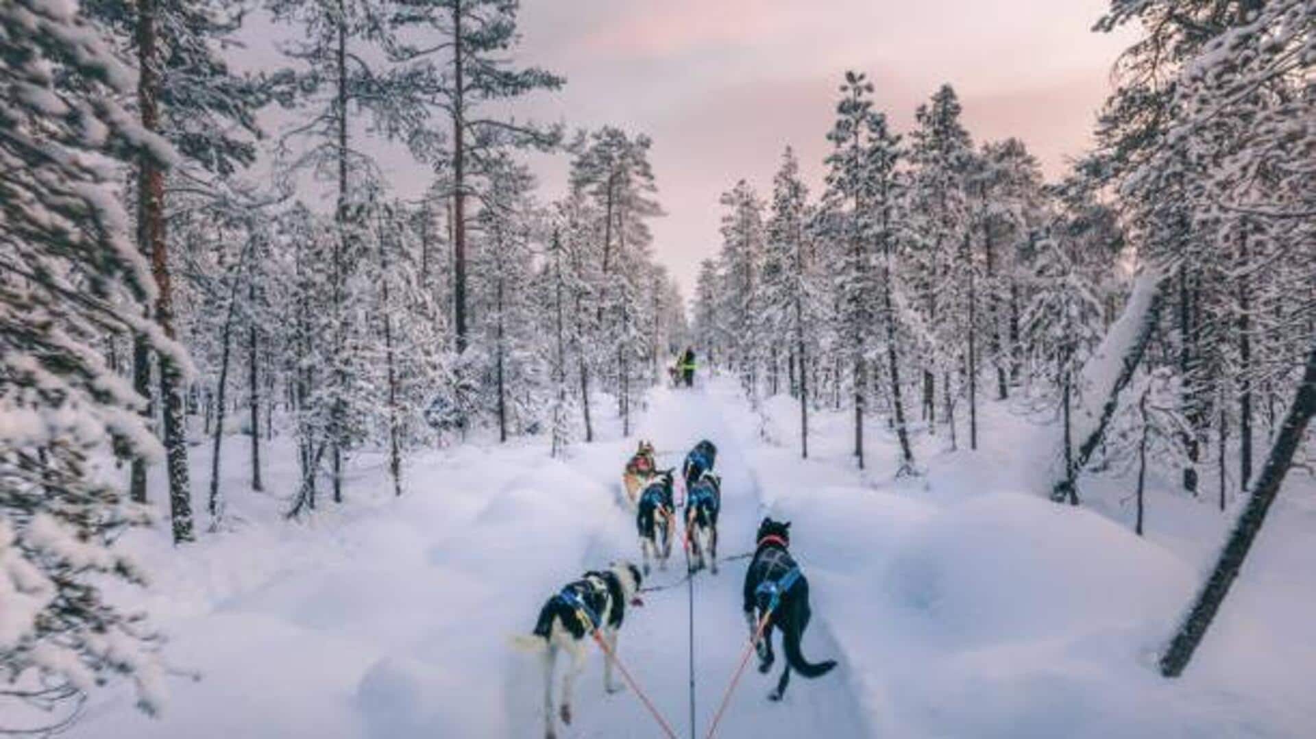 Finland's Lapland: 5 wonderful things to do