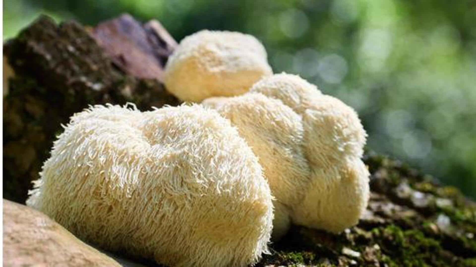 Lion's mane: A mushroom everyone is talking about 