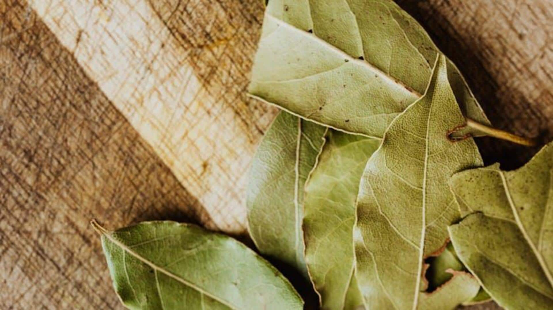 Elevating everyday meals with aromatic bay leaves