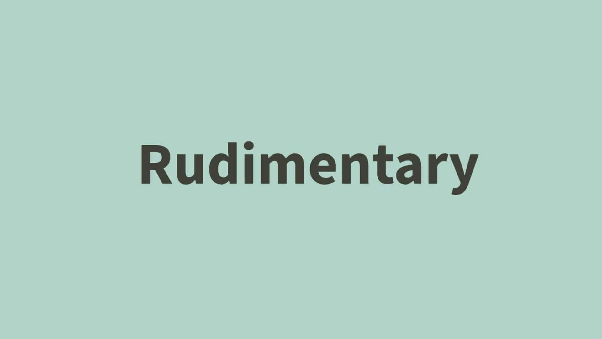 Word of the Day: Rudimentary