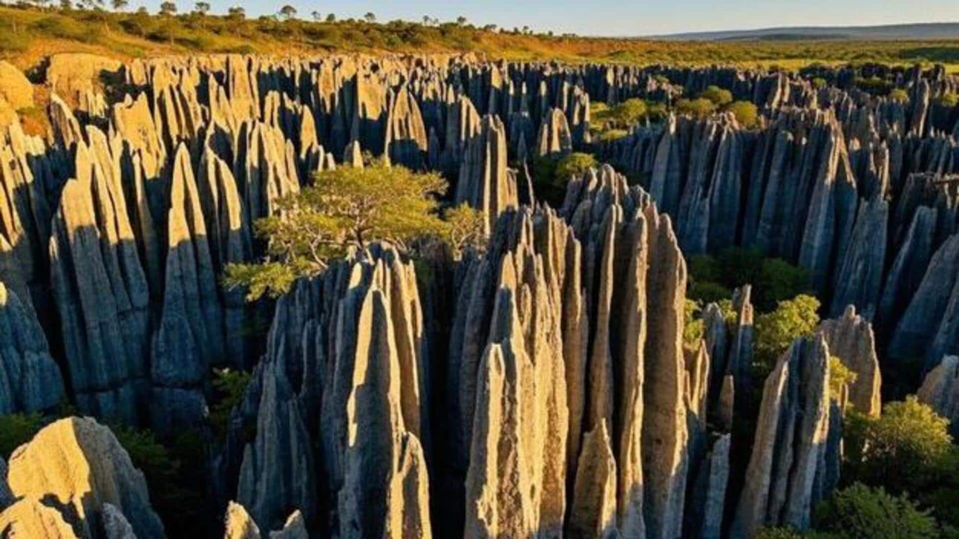 Tsingy de Bemaraha: A geological marvel in Madagascar 