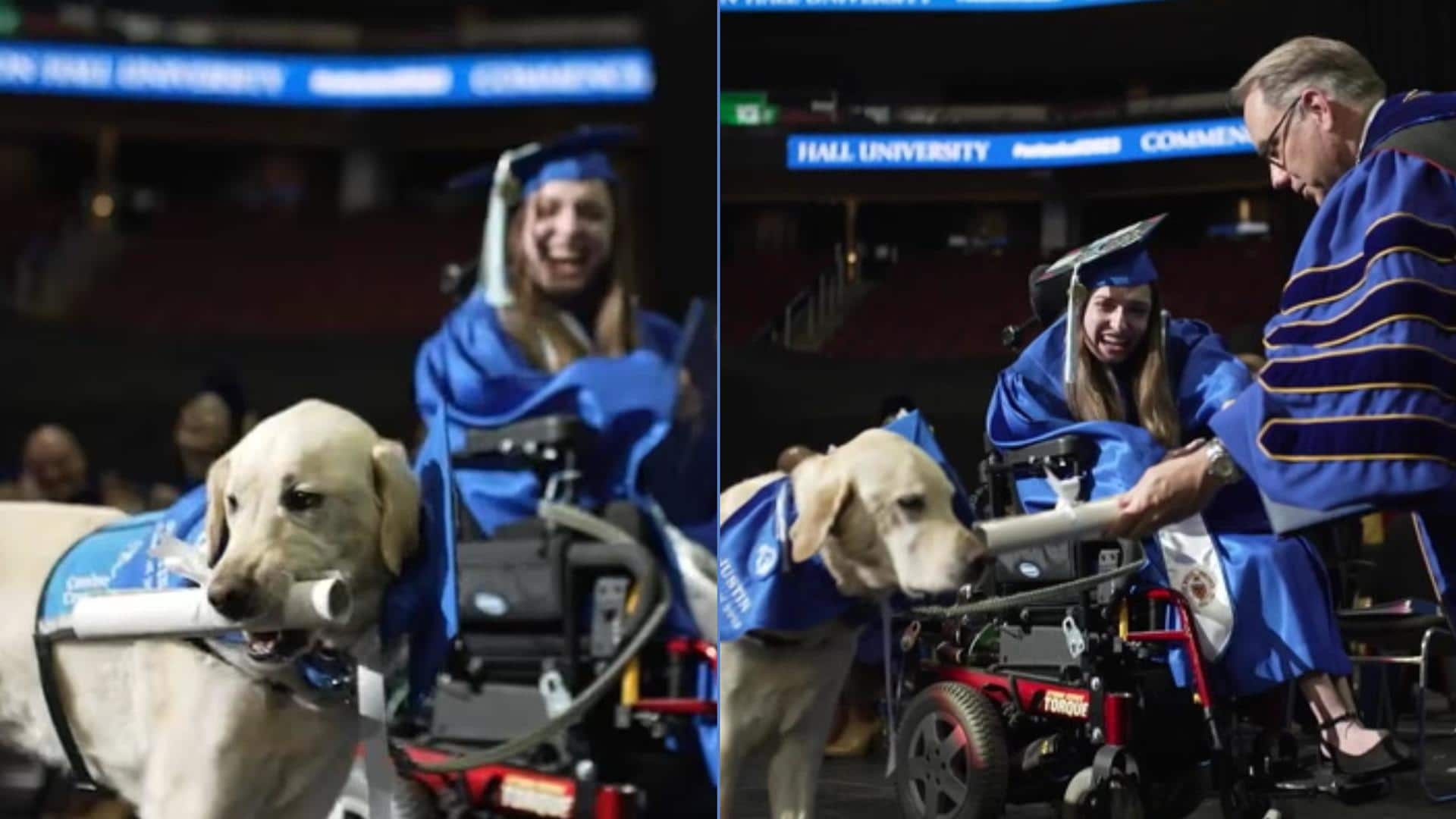 Service dog received his diploma. Yes, you heard it right