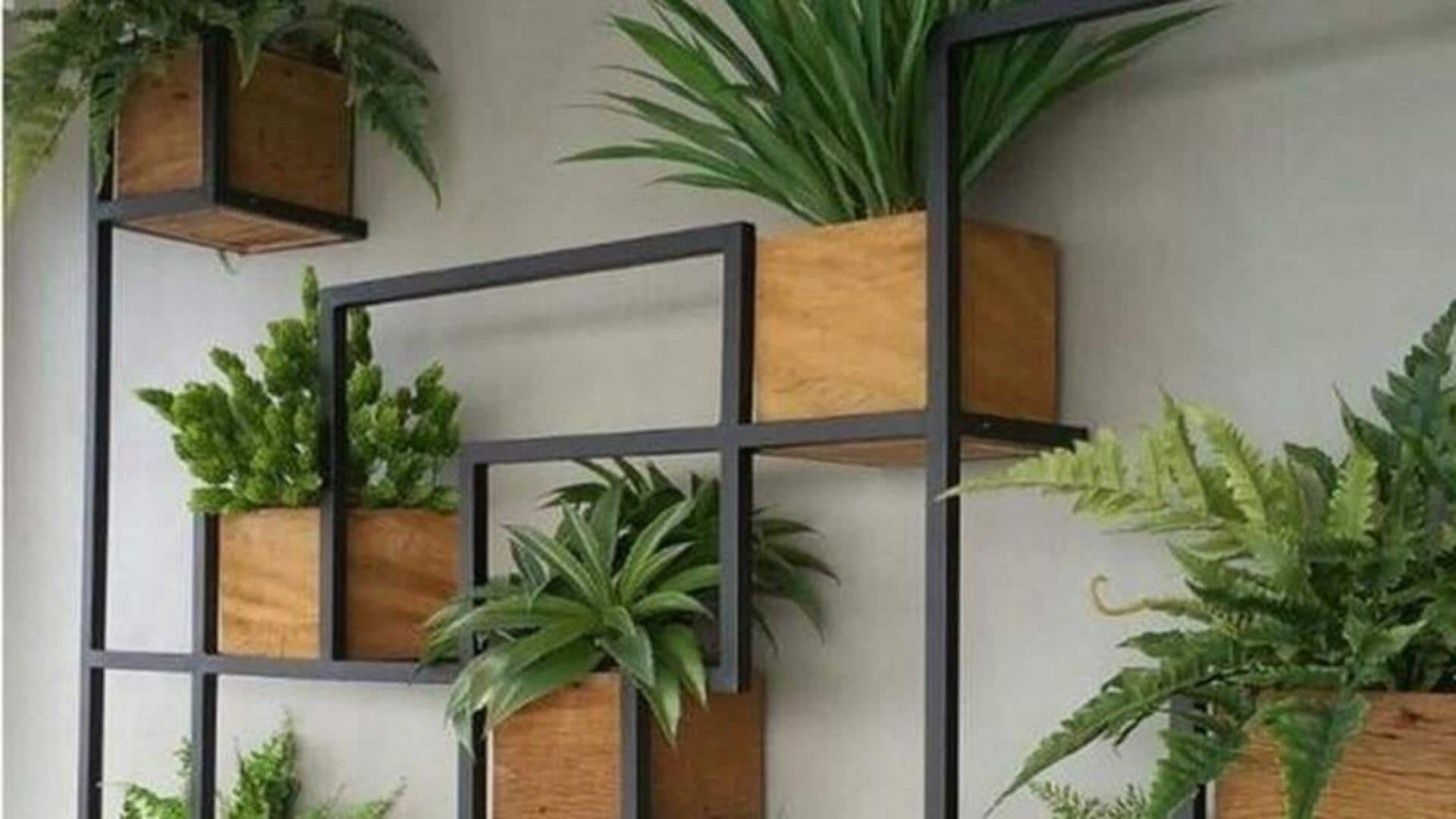 Add greenery to your home with wall plants