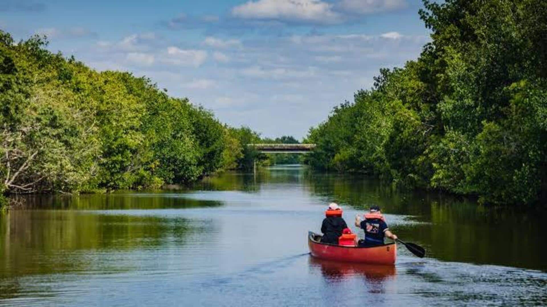 Discover the Niger River's beauty on a canoe ride 