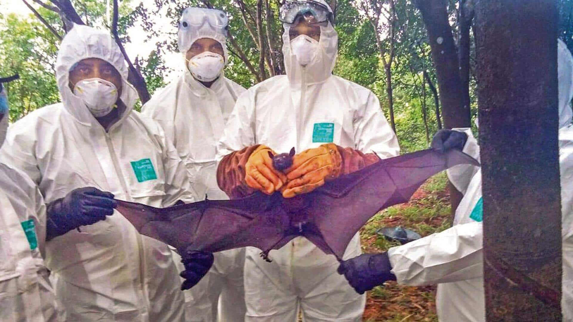 Fresh Nipah case in Kerala; 40-year-old Kozhikode man tests positive 
