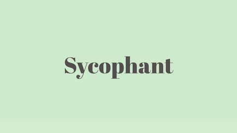 Word of the Day: Sycophant