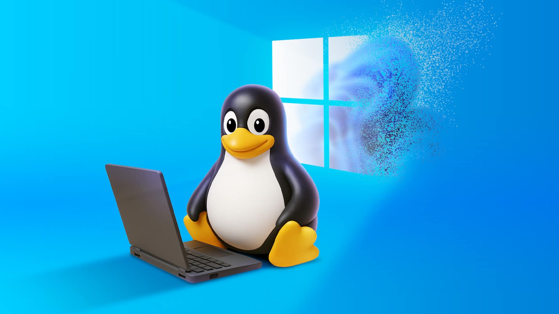 Why Netherlands is switching from Windows to Linux