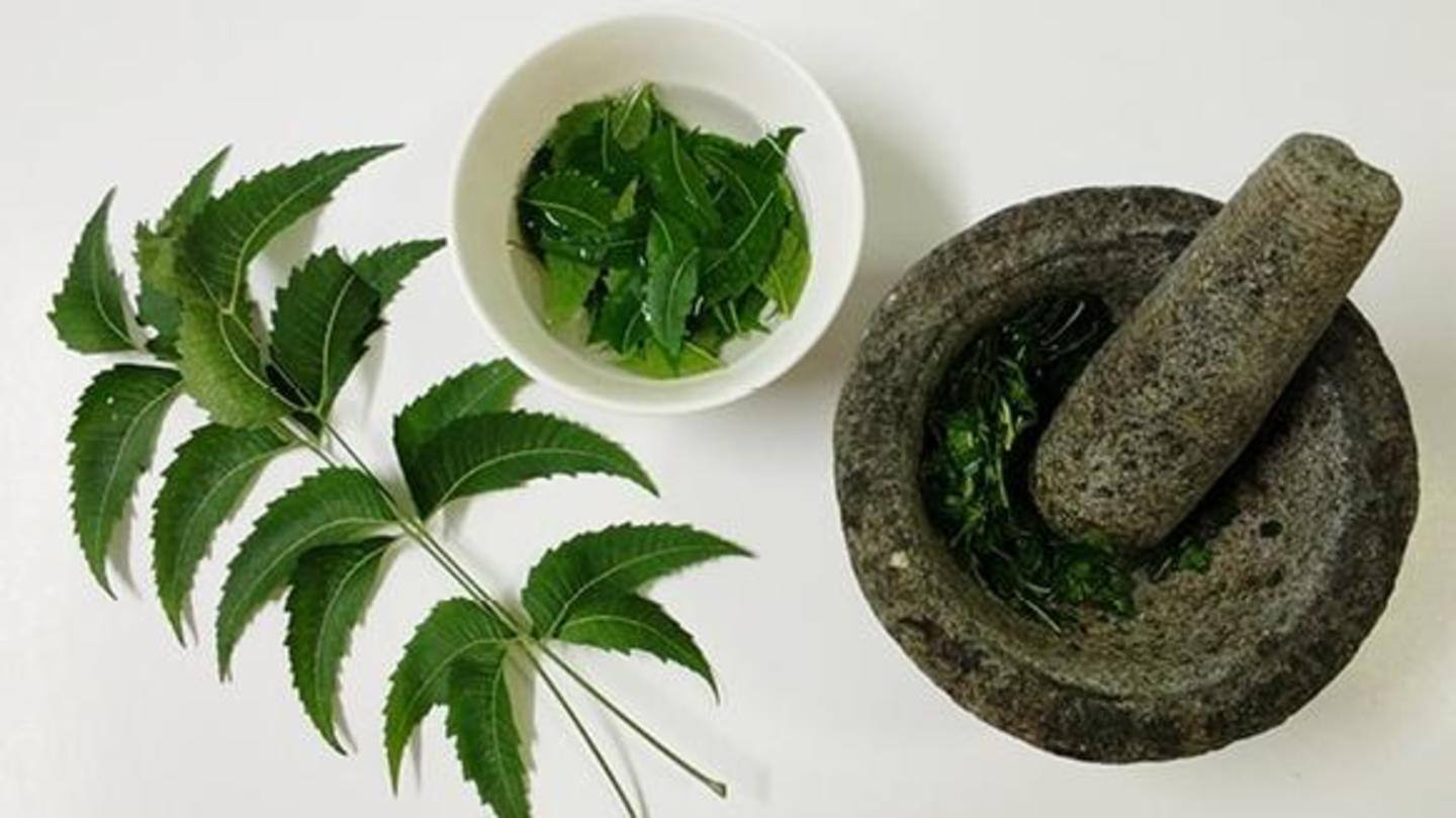 Here are some other benefits of neem leaves Here are some other benefits of neem leaves
