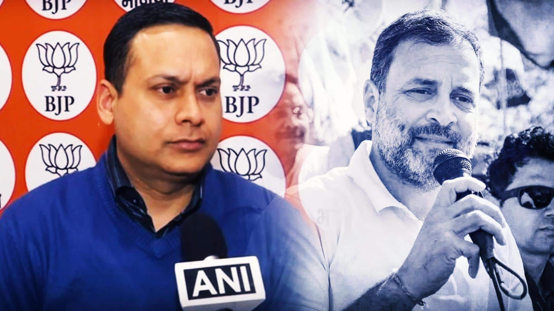 Hindenburg row: BJP slams Rahul for questioning 'integrity' of SEBI 