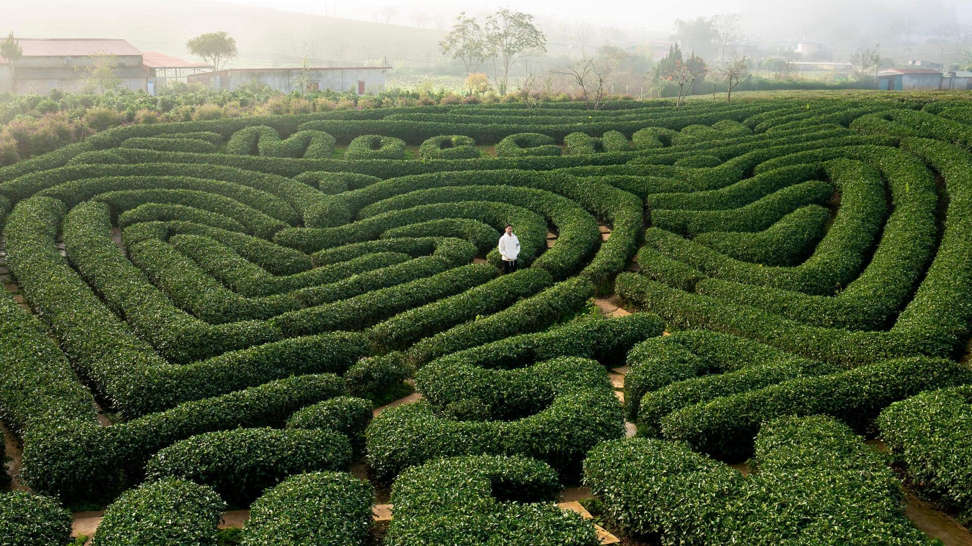 Labyrinth walking: 5 health benefits you didn't know