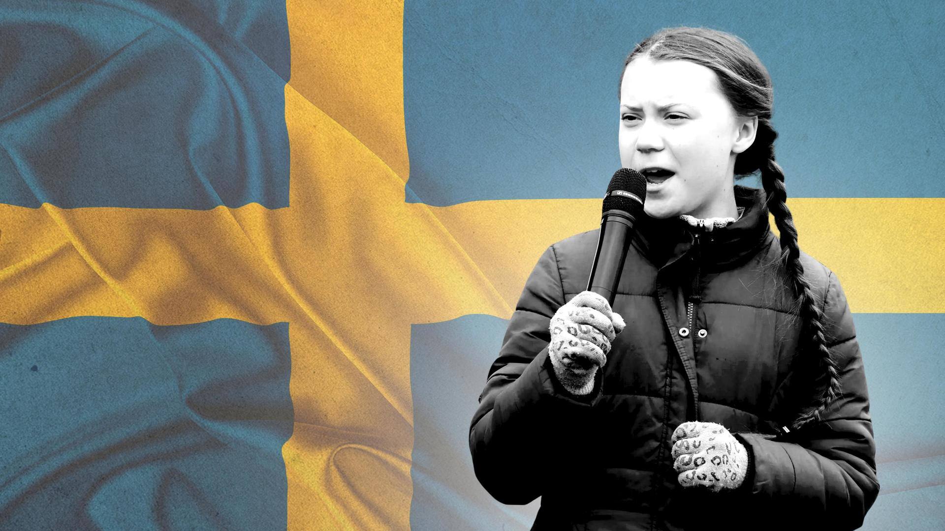Activist Greta Thunberg sues Sweden for 'failing on climate'