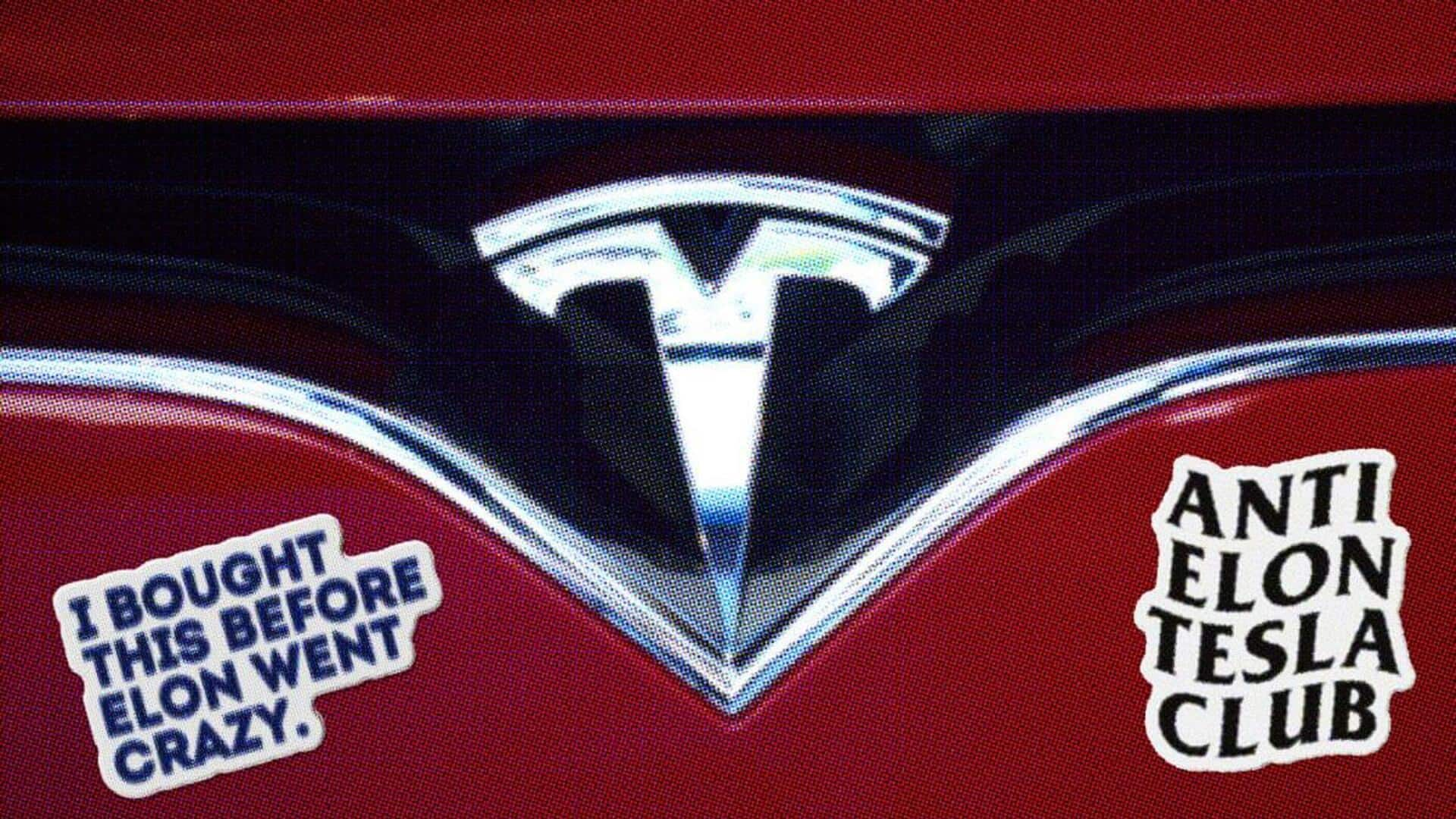 'Elon-ate-my-cat': Tesla owners using stickers to vent anger at Musk