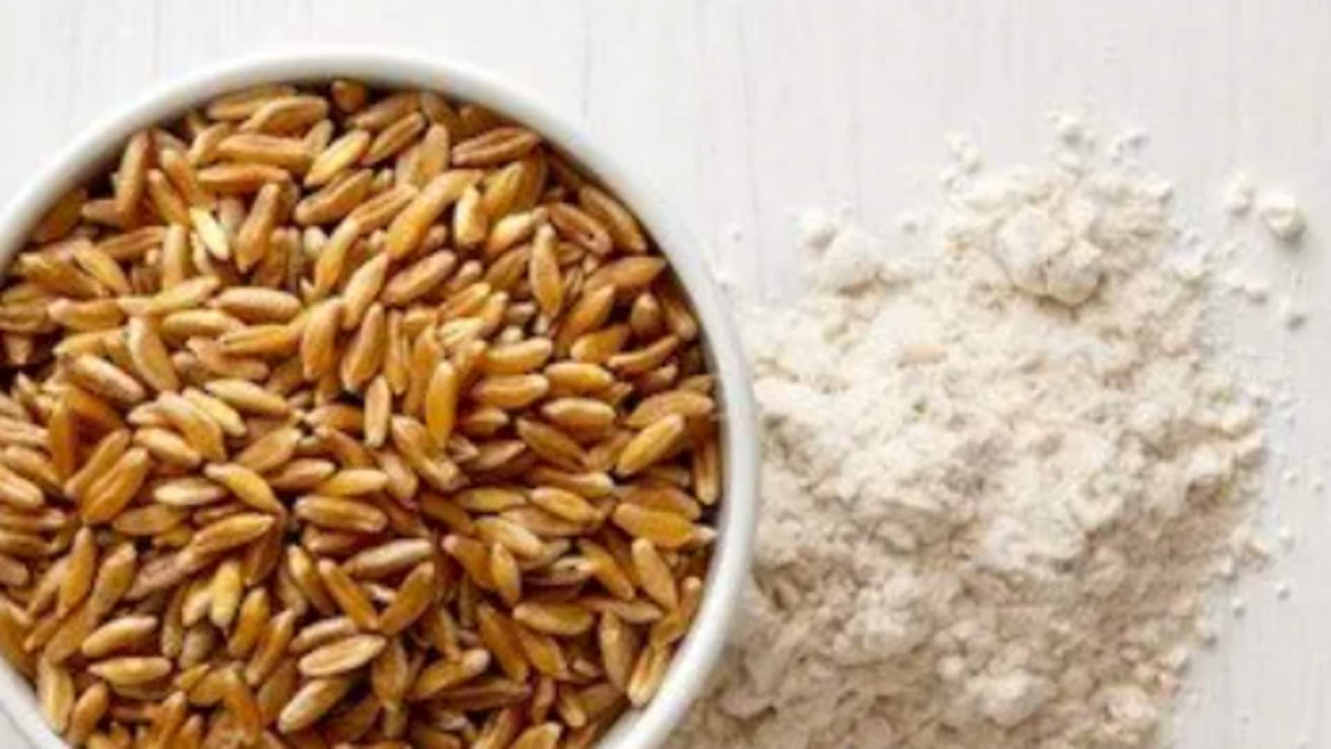 Boost your immunity with khorasan wheat Boost your immunity with khorasan wheat