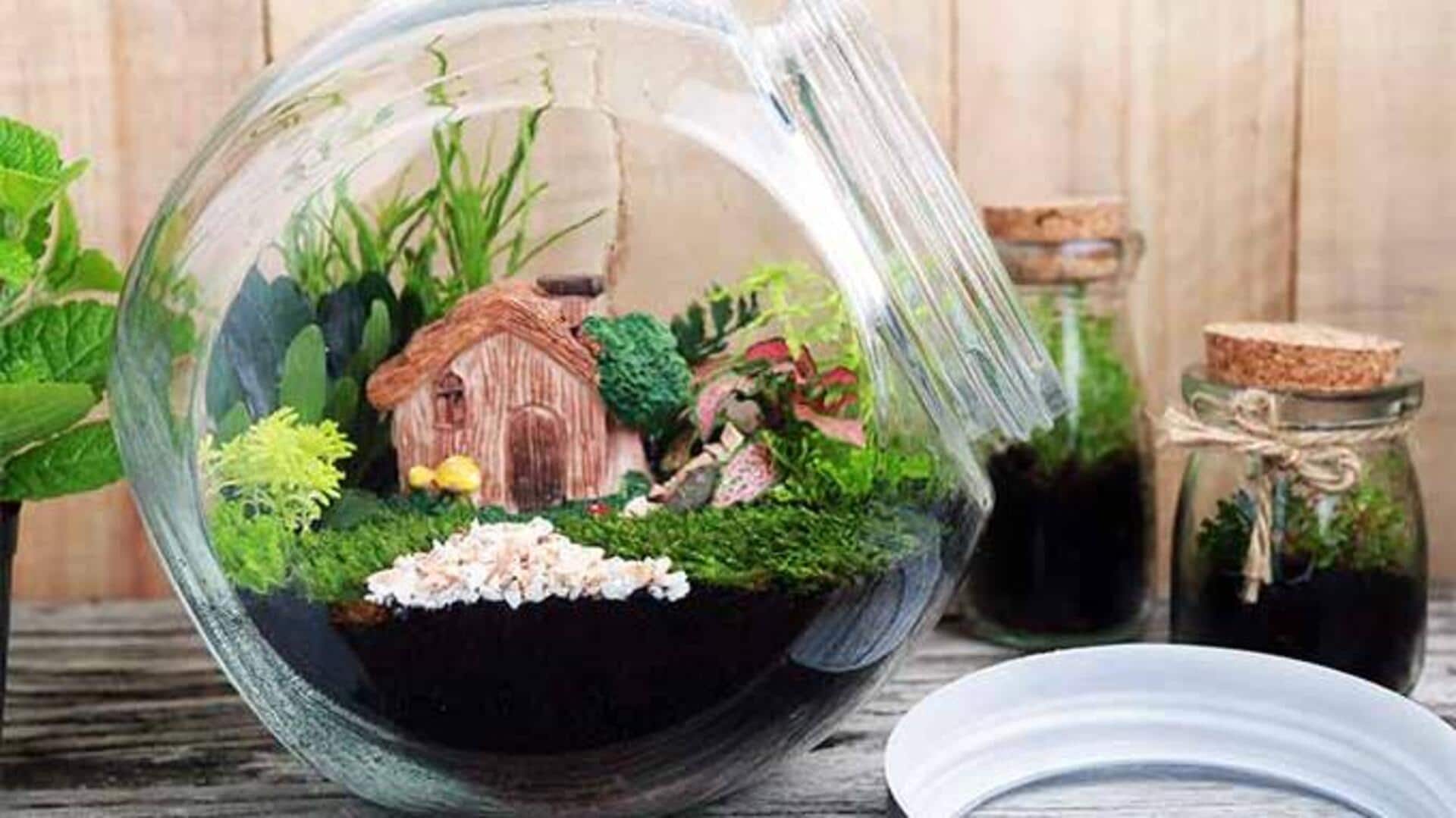 How to create terrarium landscapes
