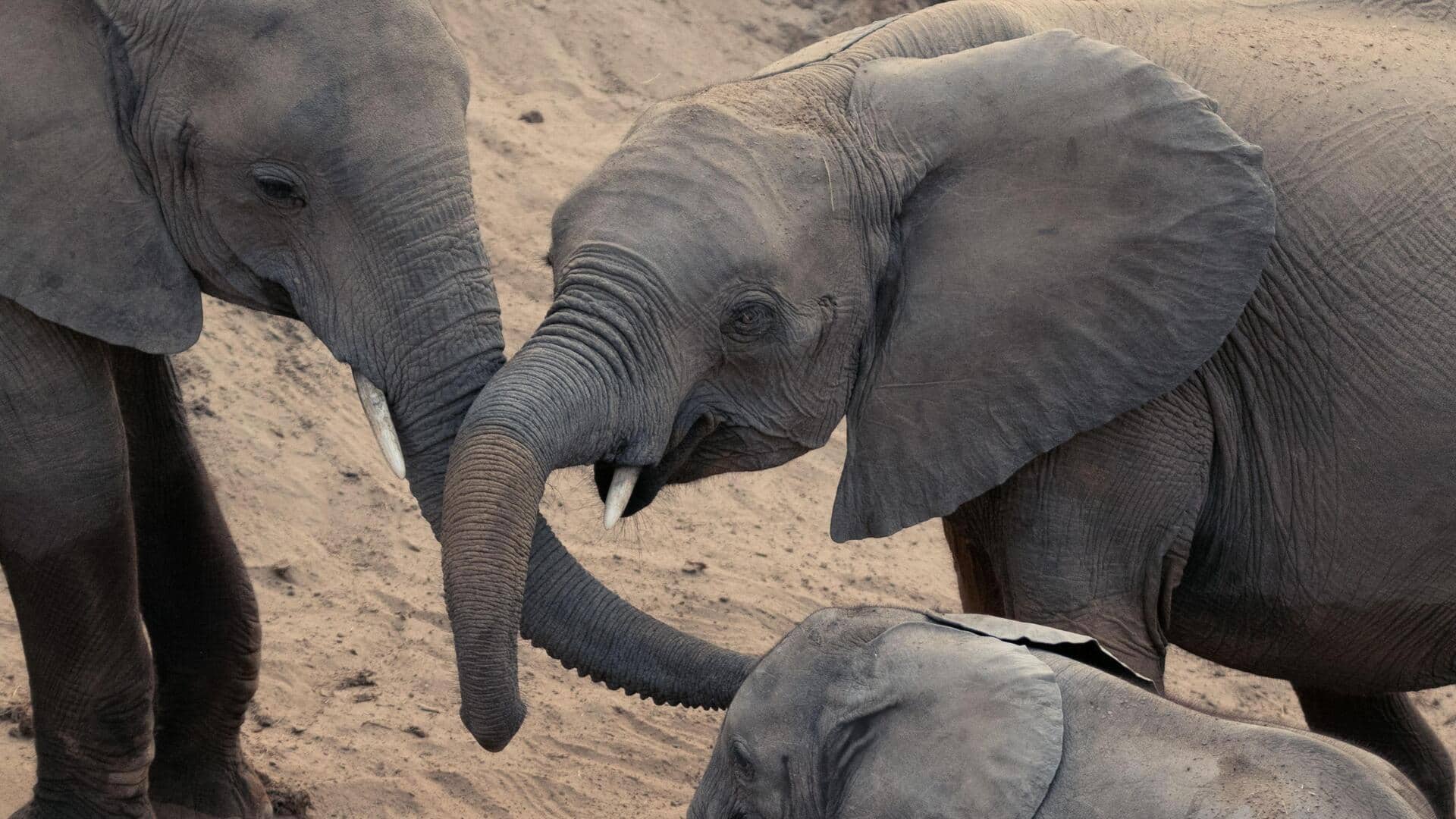5 lesser-known safari destinations worth exploring in Africa
