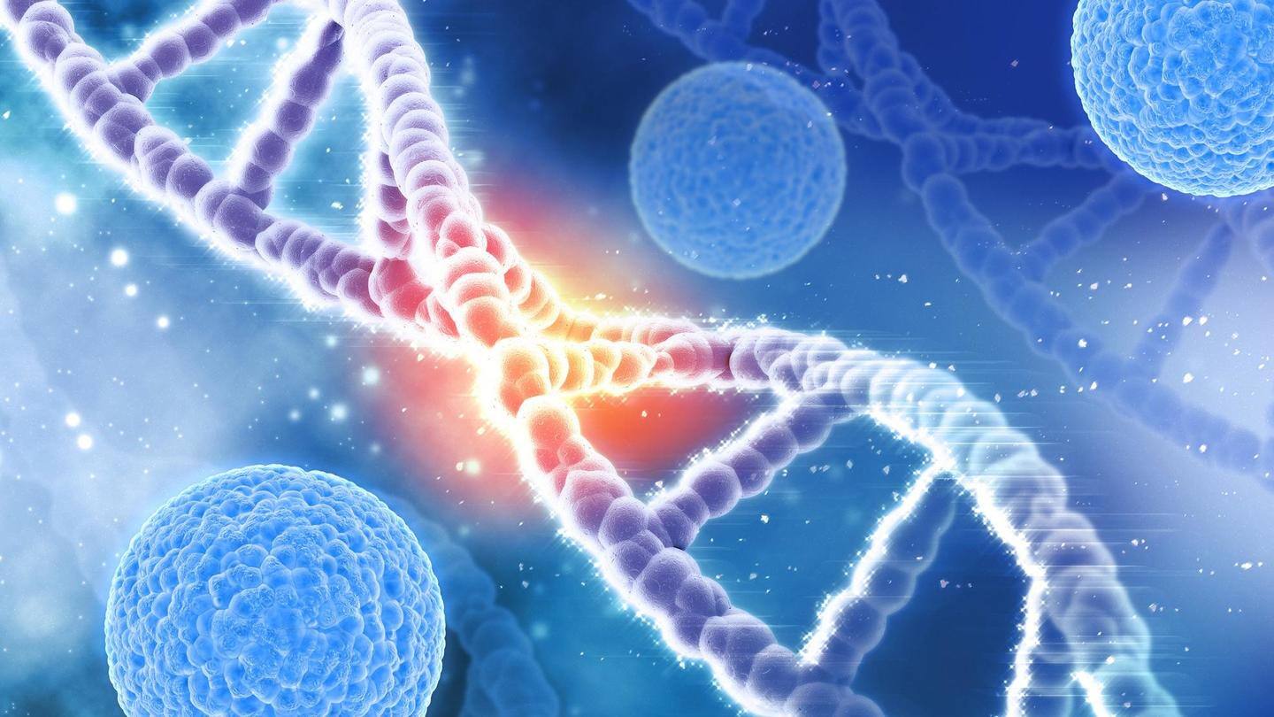 But first let us know what are BRCA genes? But first let us know what are BRCA genes?