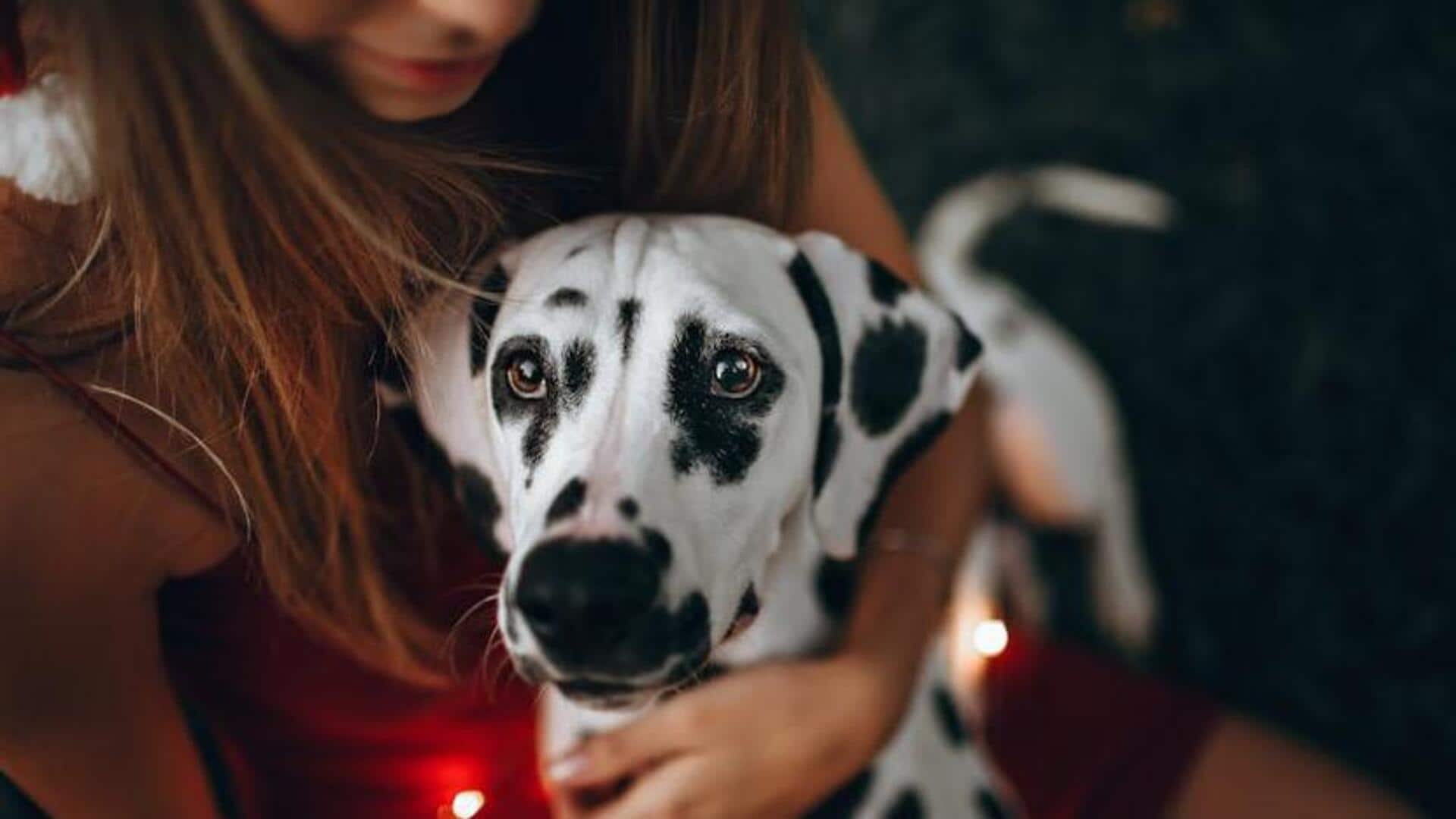 Take care of your Dalmatian's coat with these tips