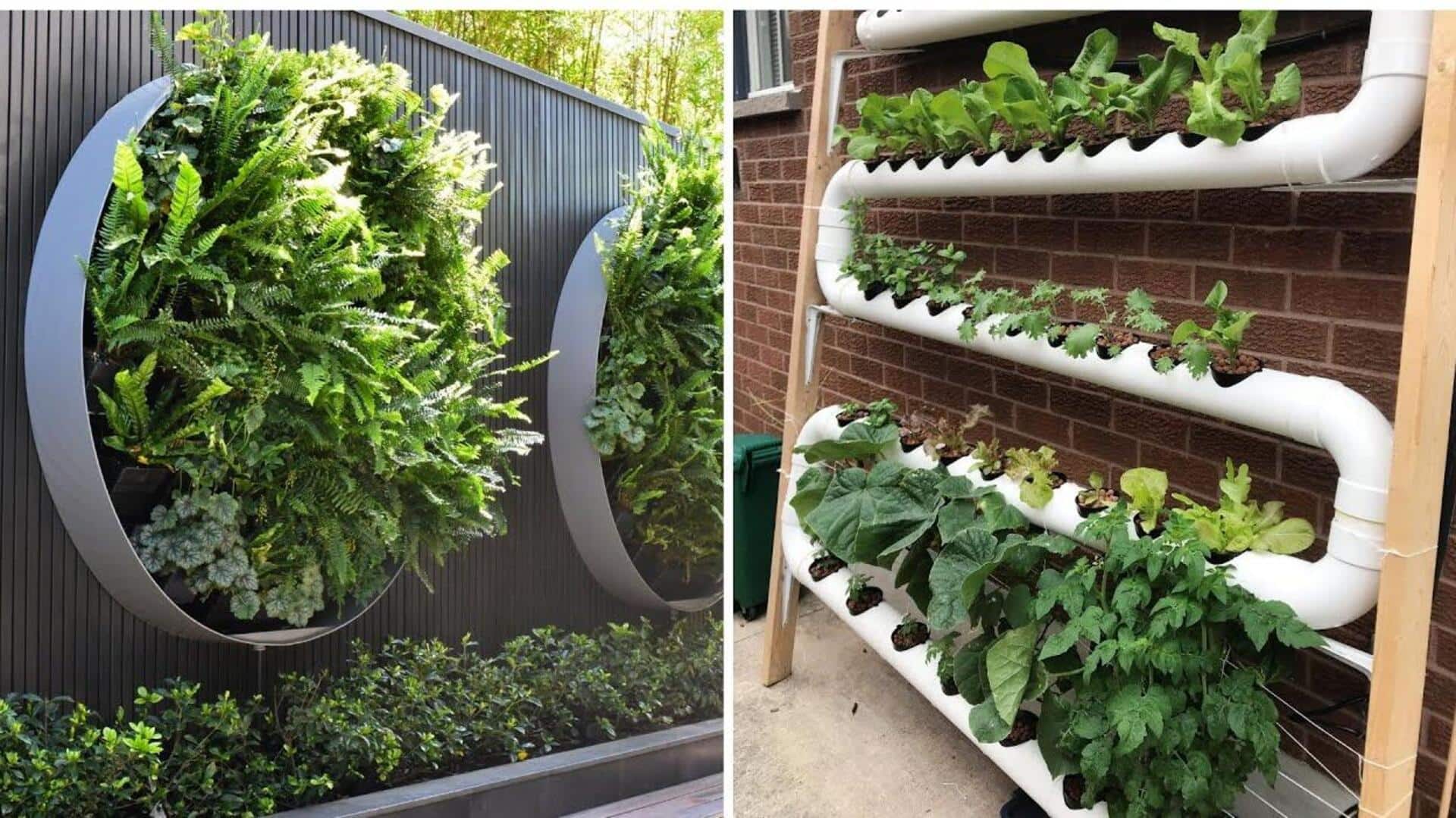 These plants are perfect for your vertical garden