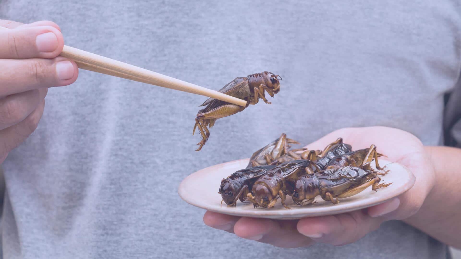 How eating insects could help save the planet