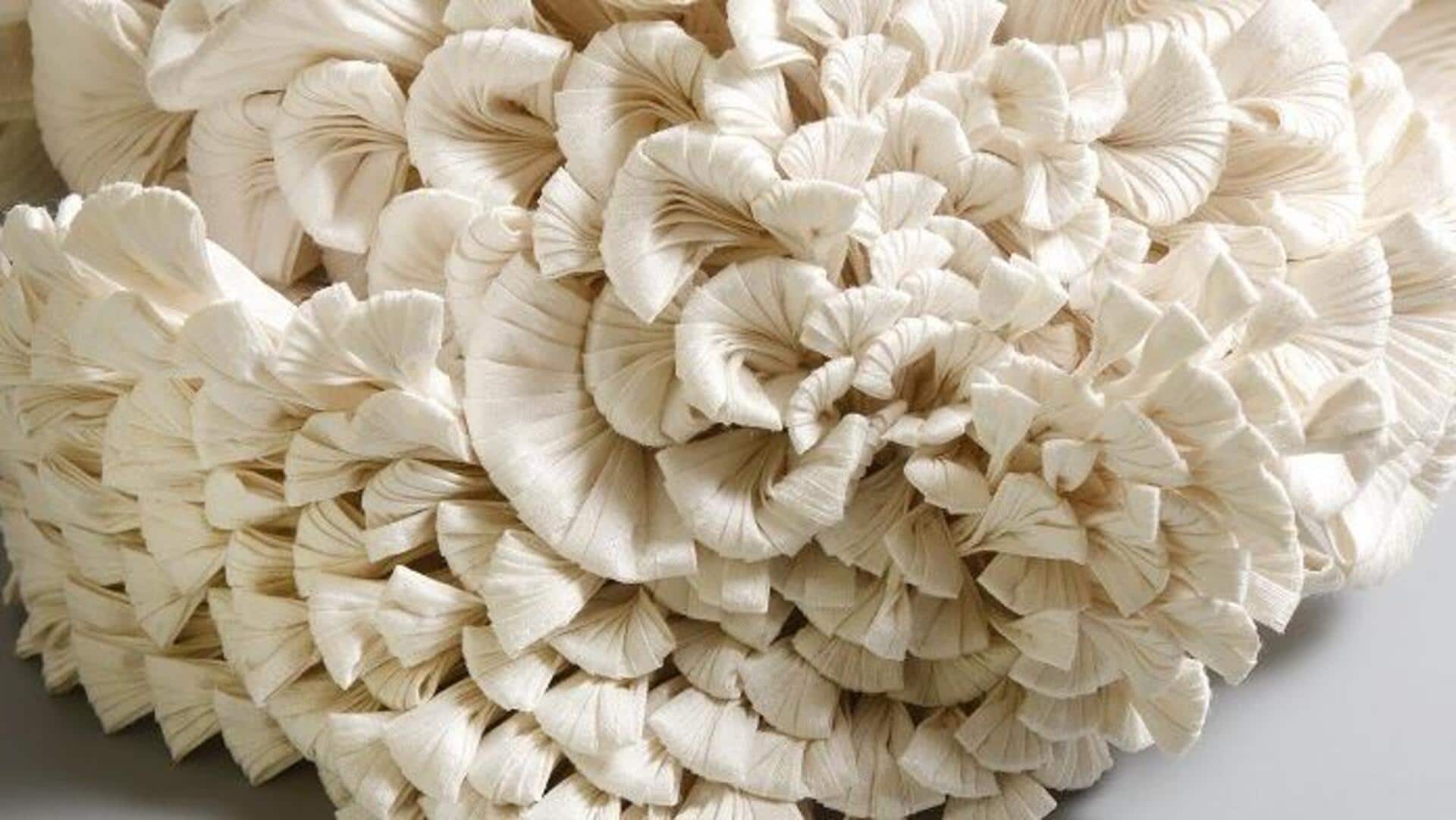 Heard about textile sculptures? Heard about textile sculptures?