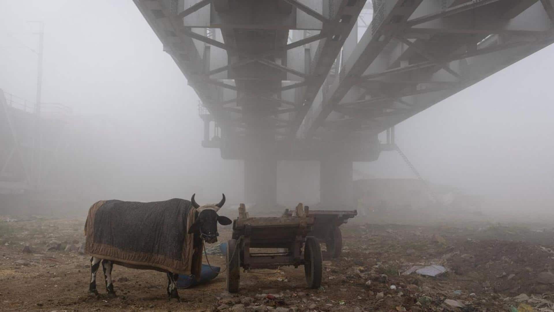 Delhi shrouded in fog, air quality still 'severe'