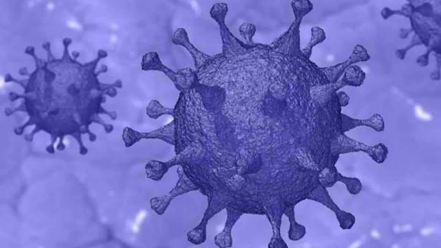 New drug target to treat coronavirus, fight future pandemic found