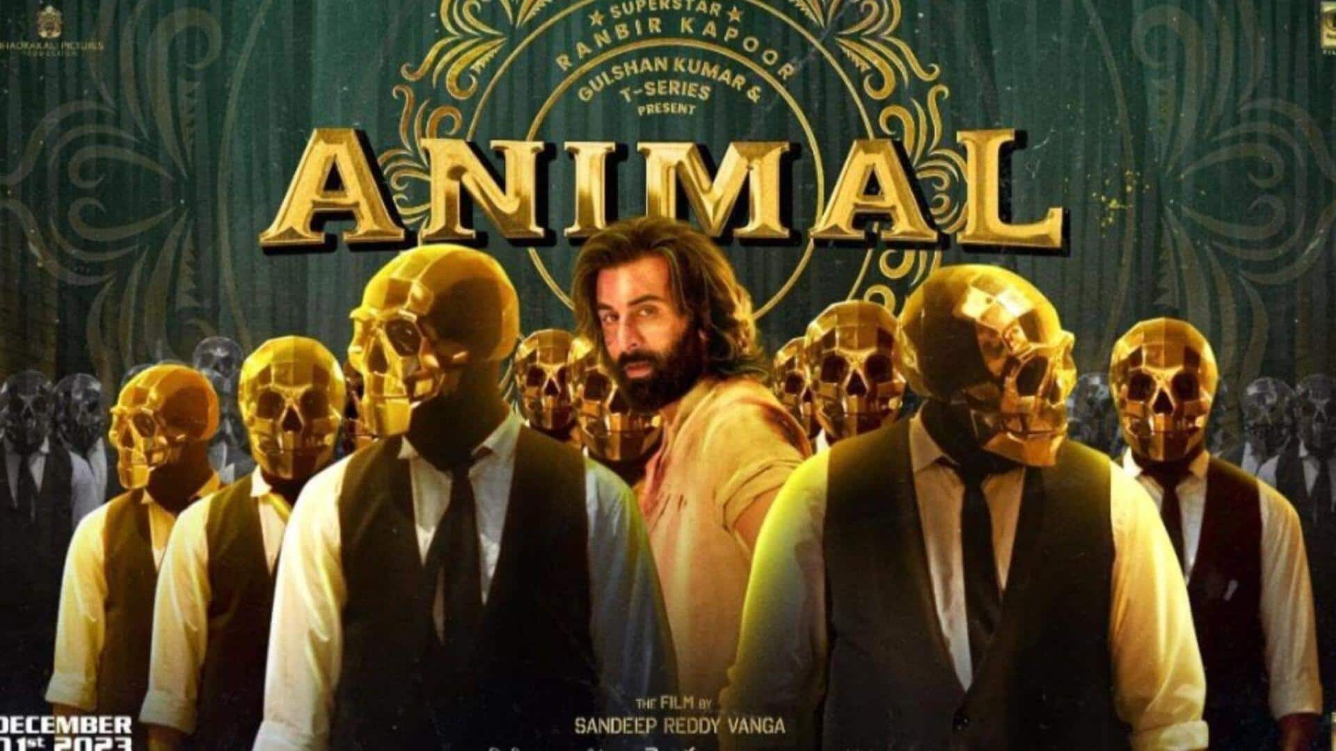 Box office collection: 'Animal' is on autopilot mode