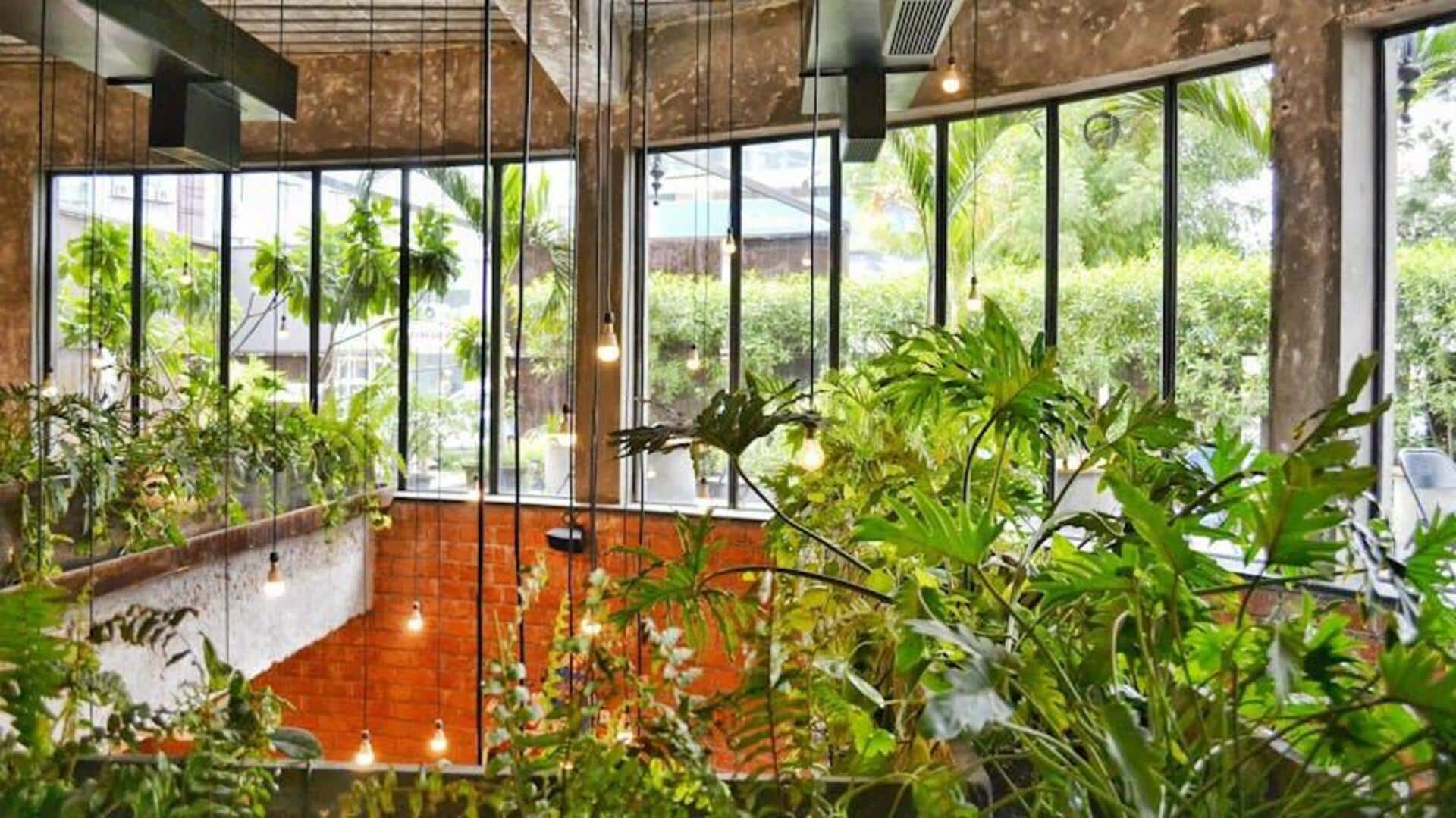 How to create a balcony oasis How to create a balcony oasis