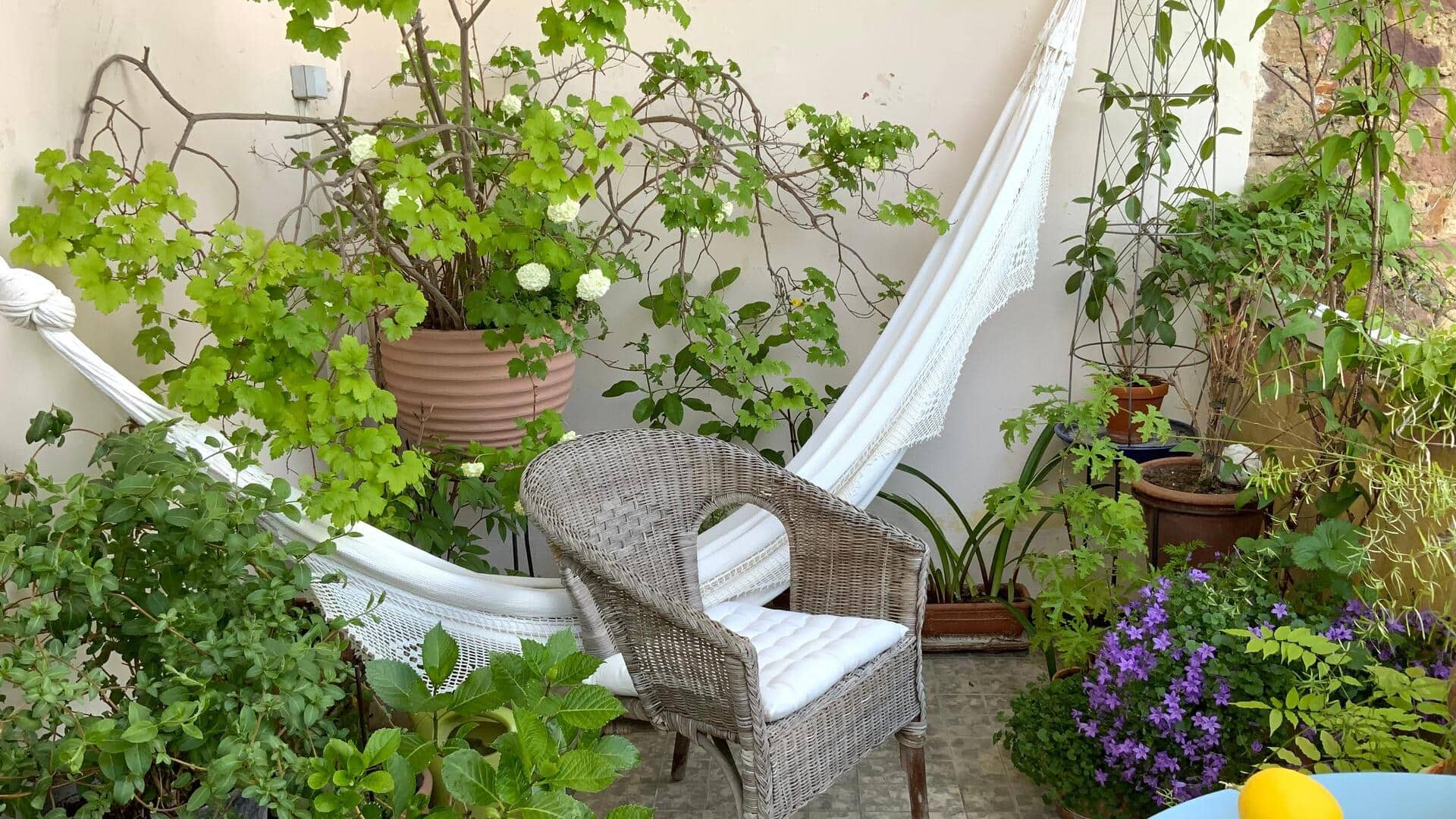 Give your small balcony a green makeover