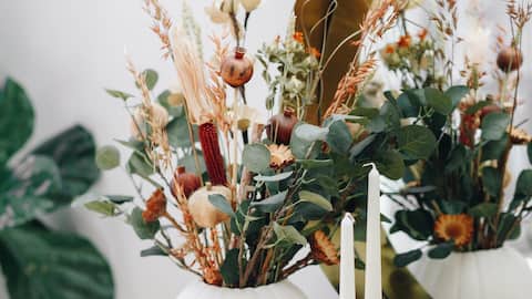 Enhance your room decor with dried florals 