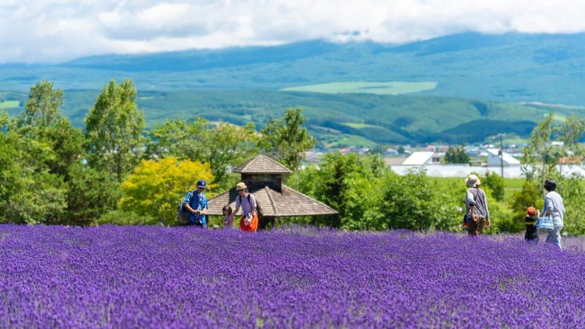 Unveiling Hokkaido's lavender fields and vintage railways