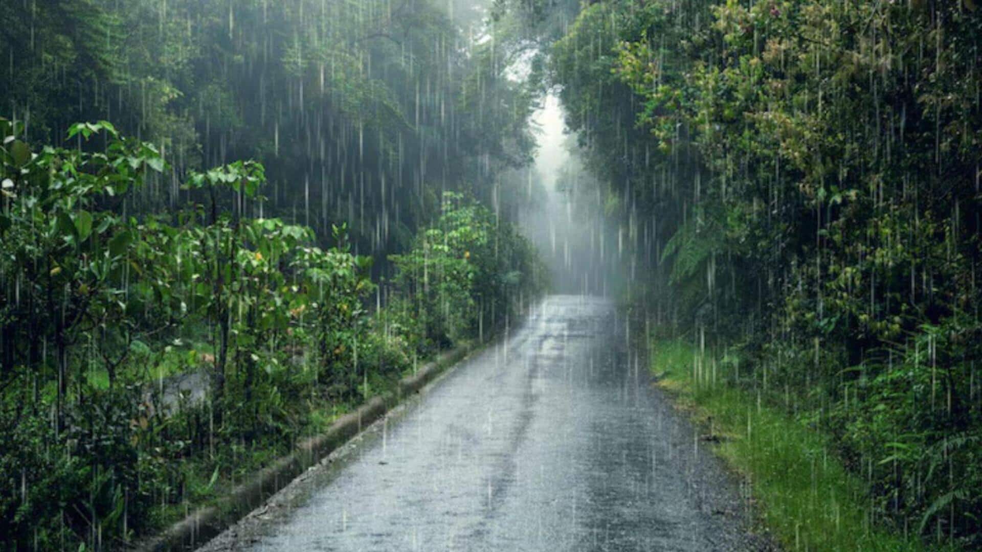 IMD forecasts heavy rainfall for Kerala, Tamil Nadu, Andaman