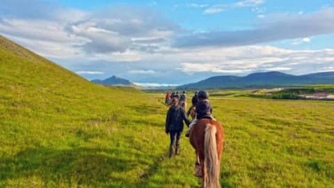 Discover Iceland's untouched landscapes on horseback