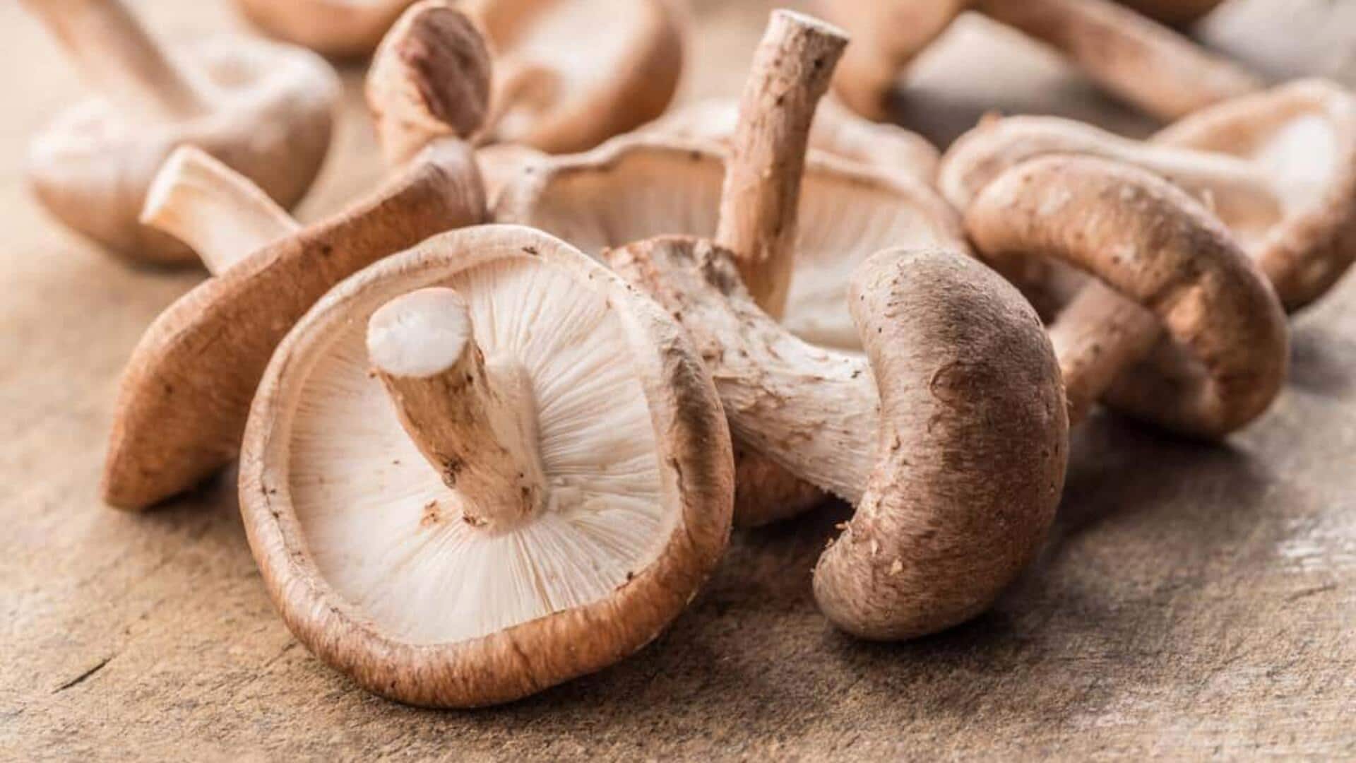Mushrooms can be used to store data, research reveals Mushrooms can be used to store data, research reveals