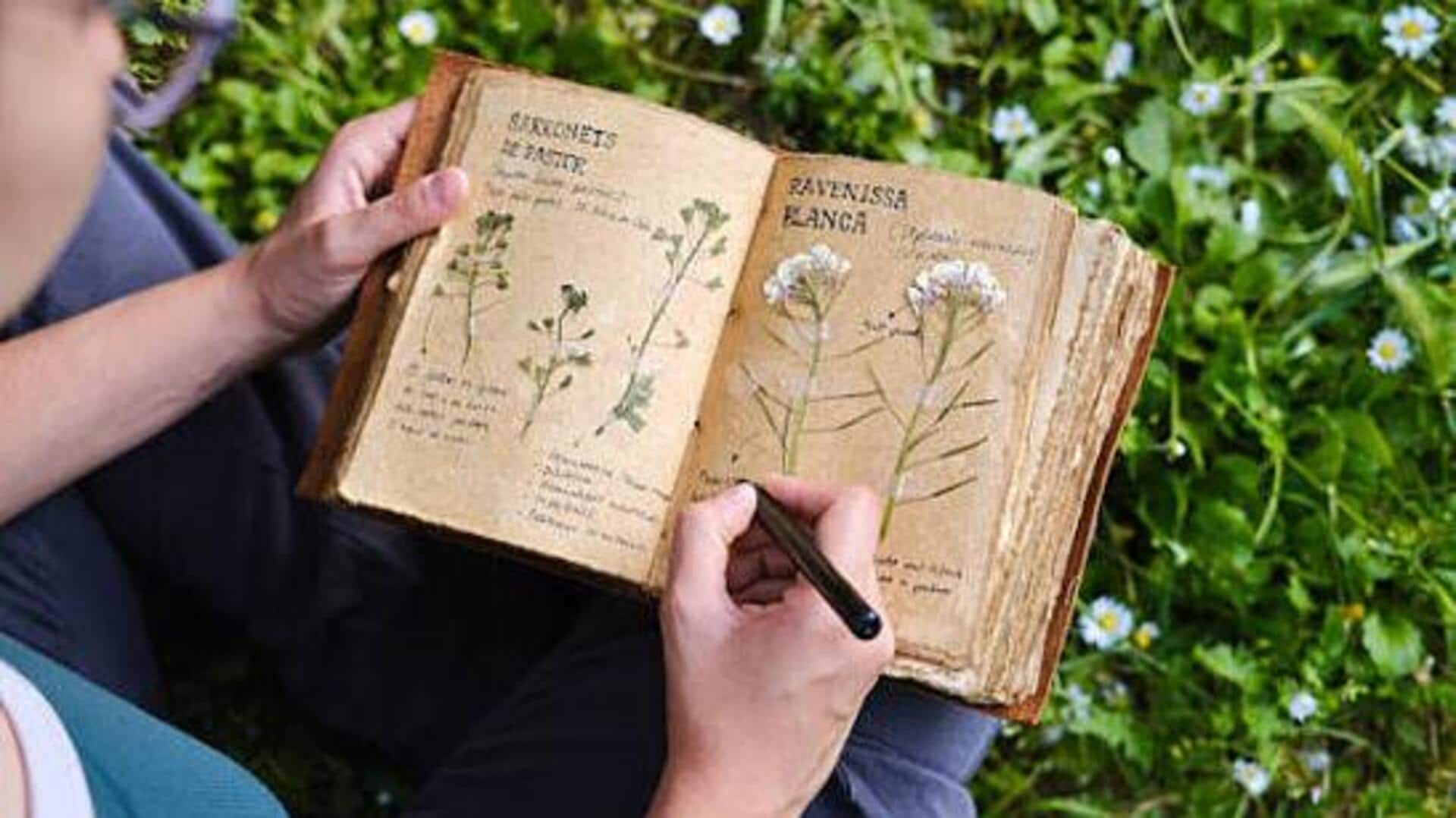 What is botanical journaling?