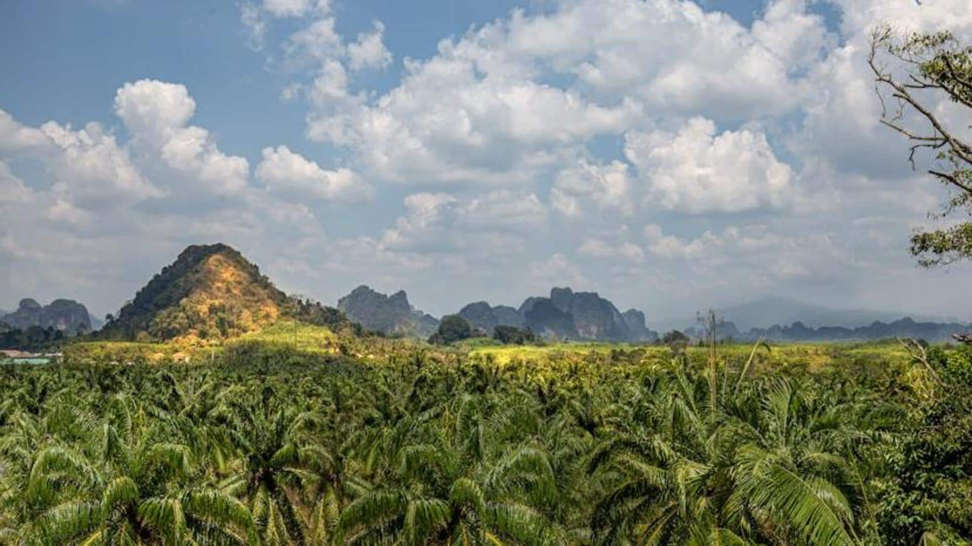 Journey to the heart of northern Thailand's hill tribes