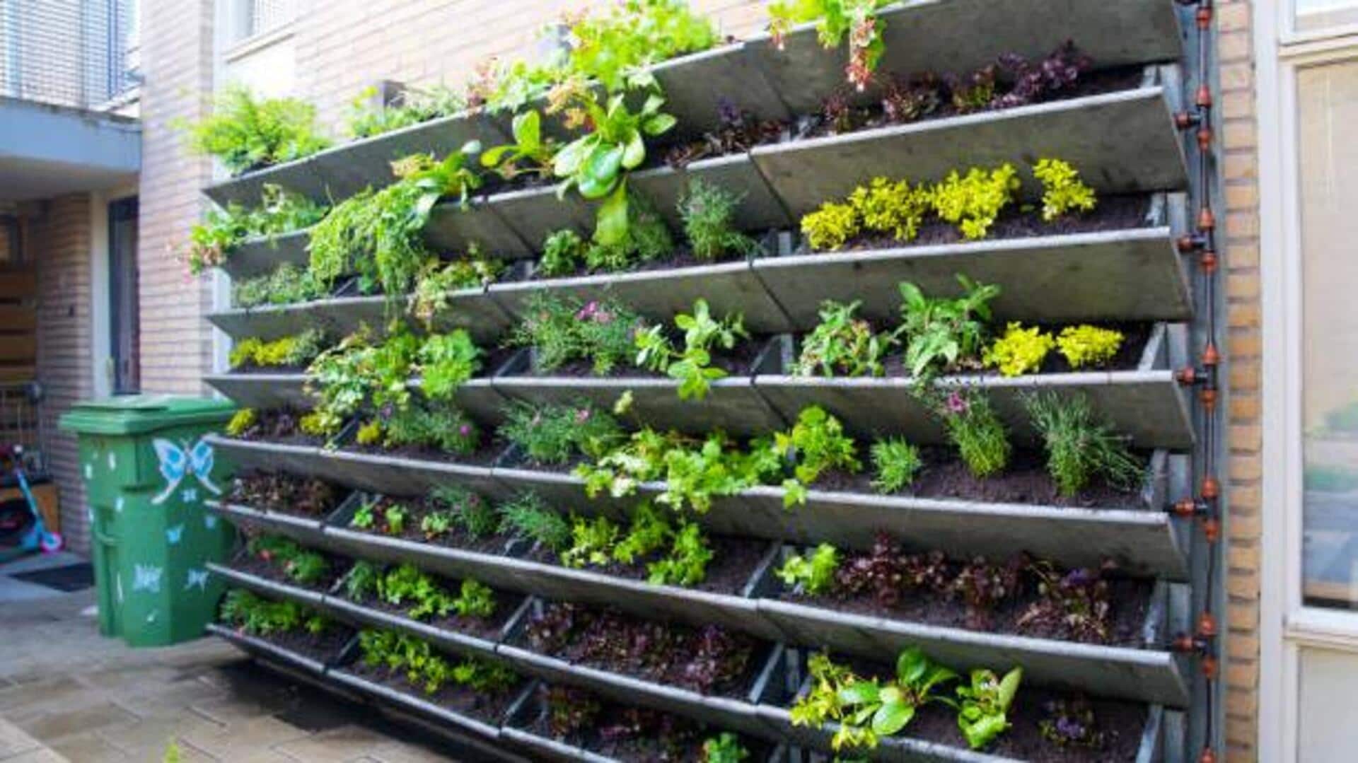 5 gardening tips for small spaces 