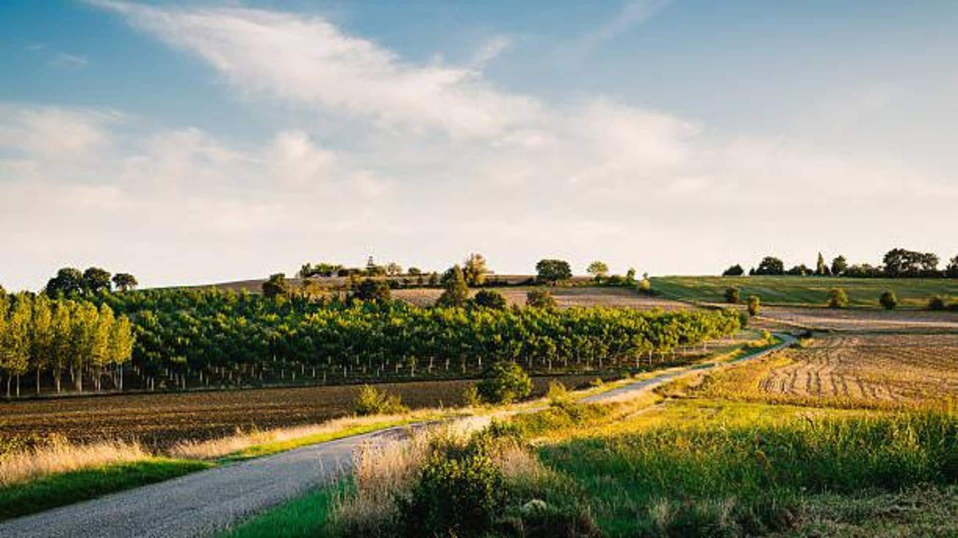 Portugal's countryside is every nature lover's dream!