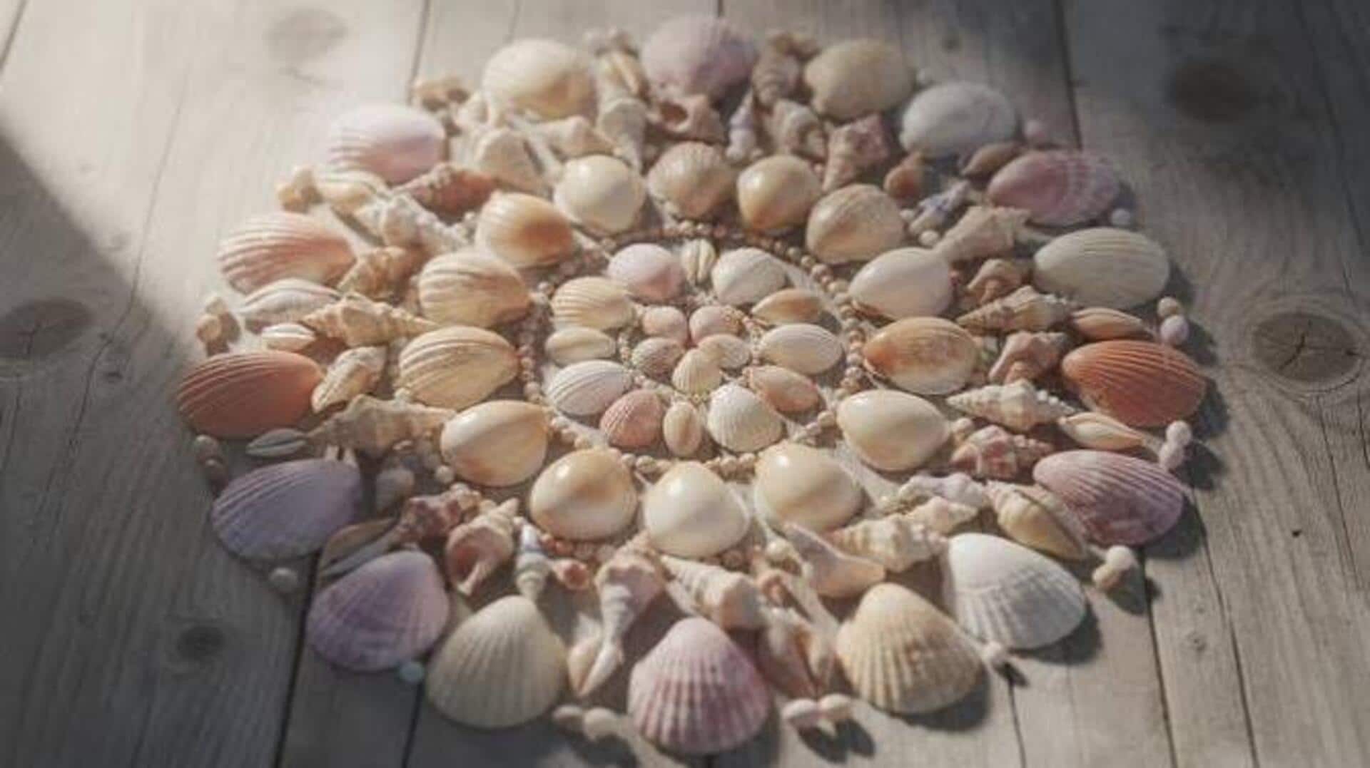 How to turn ordinary shells into beautiful art 